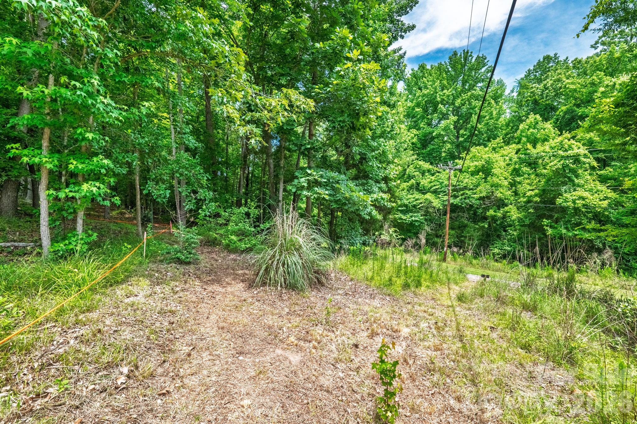Whiteville Park - Land