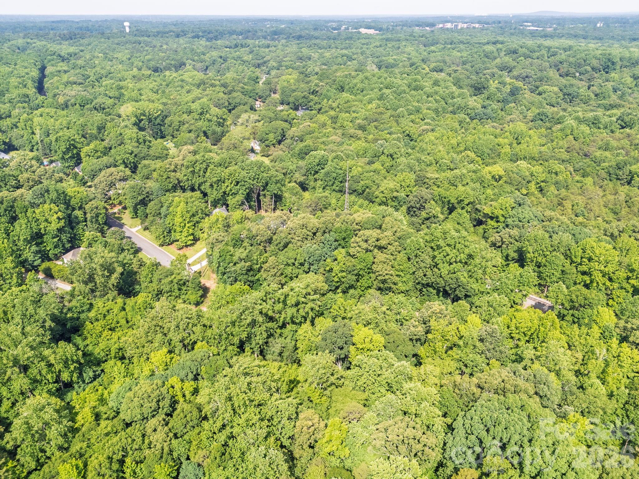 Whiteville Park - Land