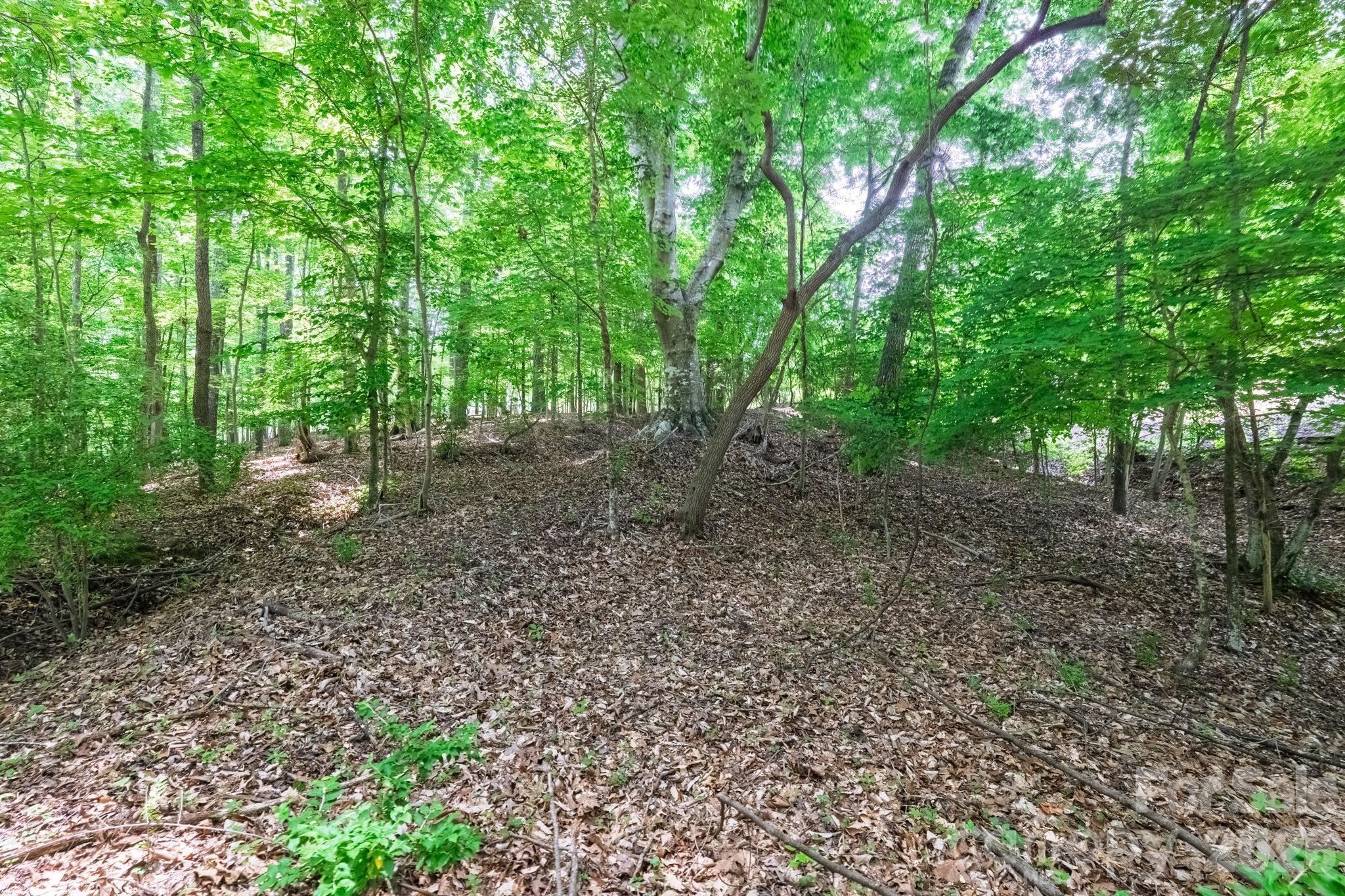 Whiteville Park - Land
