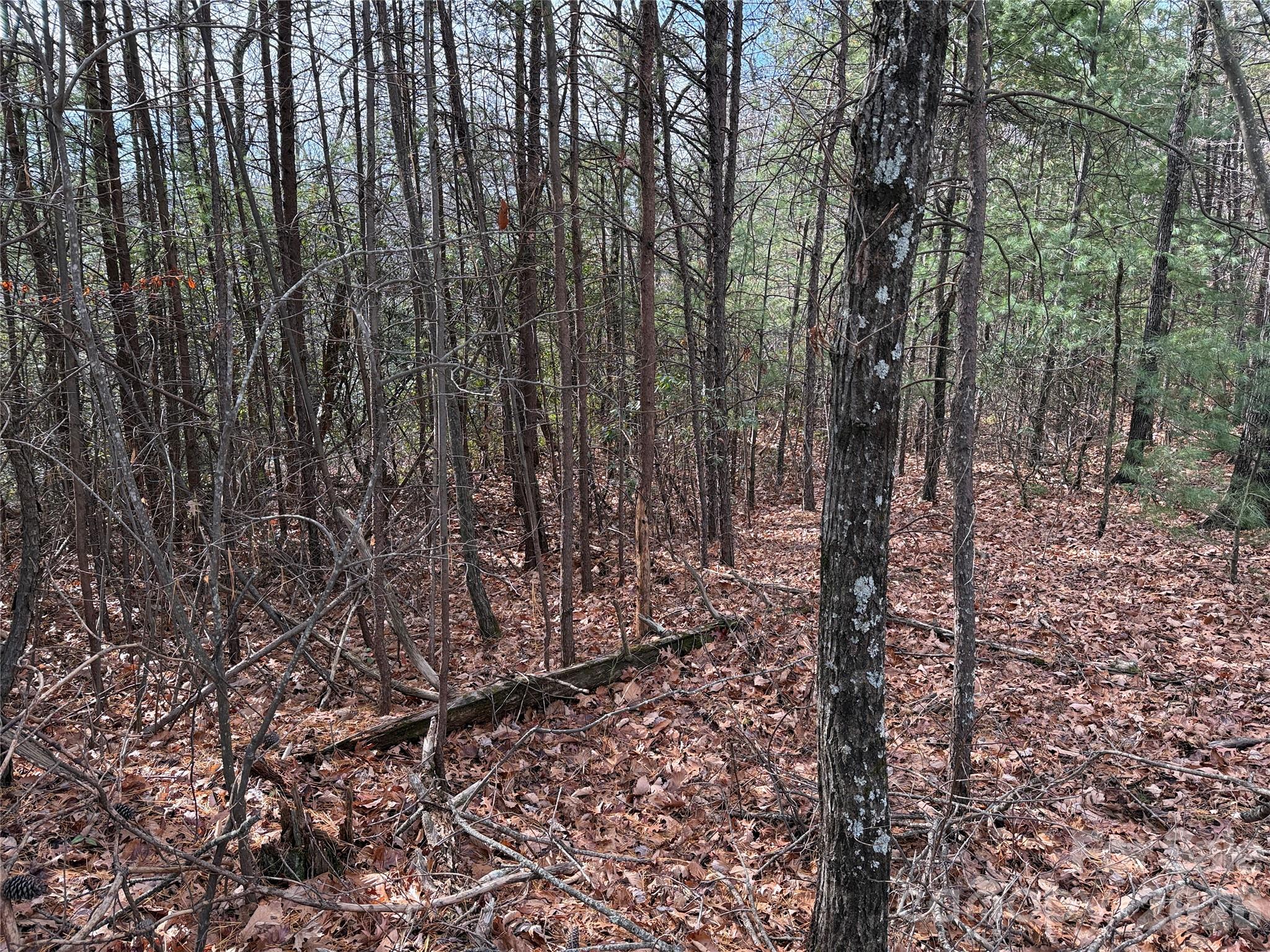 Buck Mountain - Land