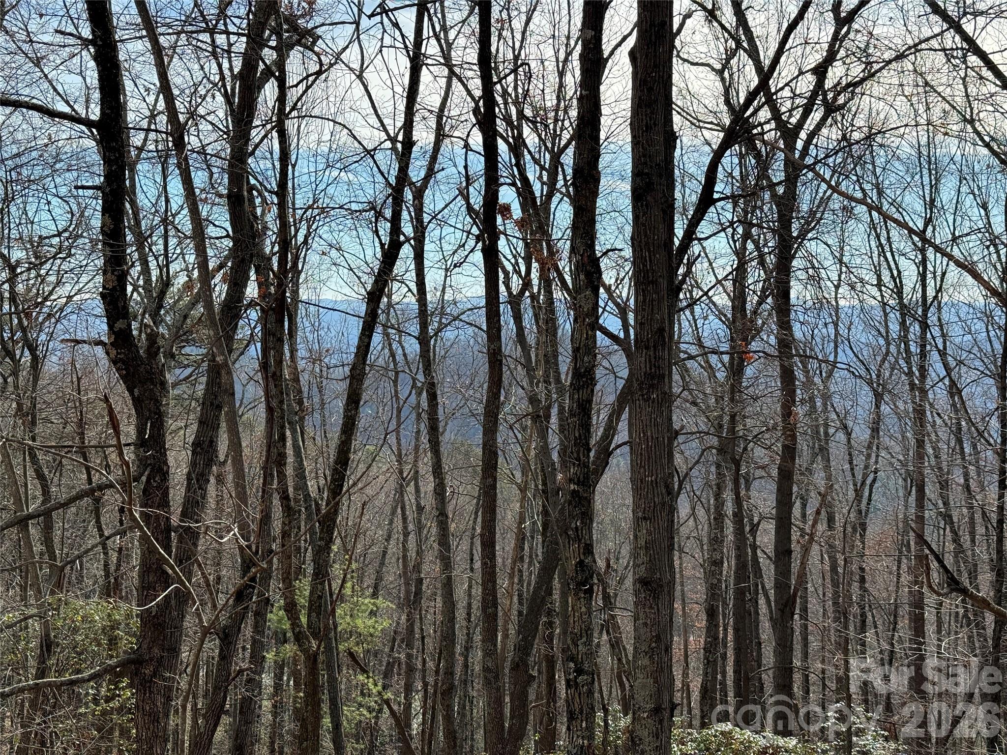 Buck Mountain - Land