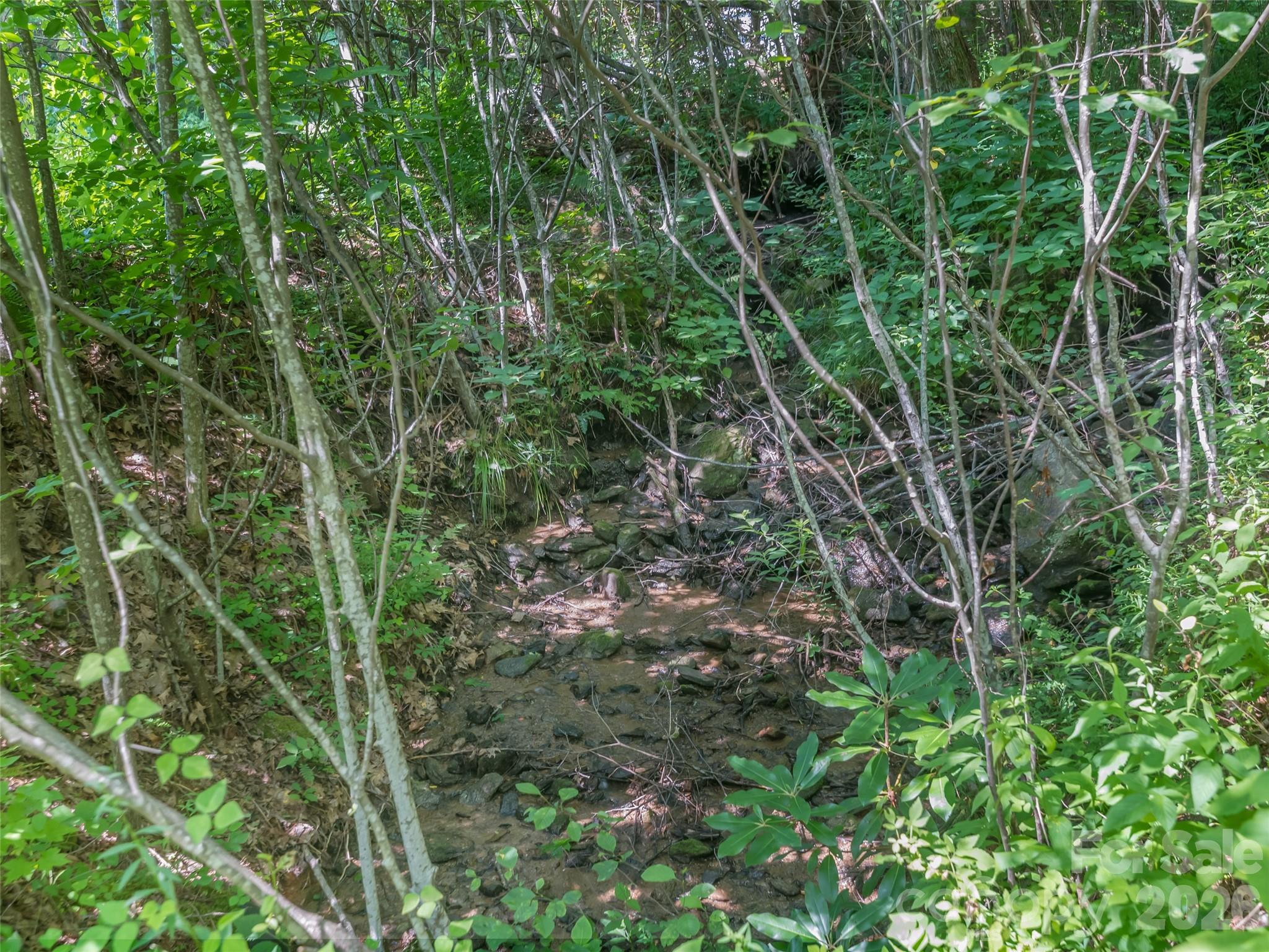 Brights Creek - Land