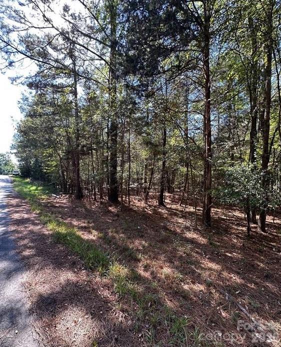 Bring your vision to life on this beautiful (+/-)0.501-acre lot located on Lanksford Drive in Fort Lawn, SC. Tucked away in a quiet setting, this property offers the perfect balance of peaceful living and convenient access to nearby amenities, schools, and major highways. This spacious lot provides endless possibilities and plenty of space to make it your own.