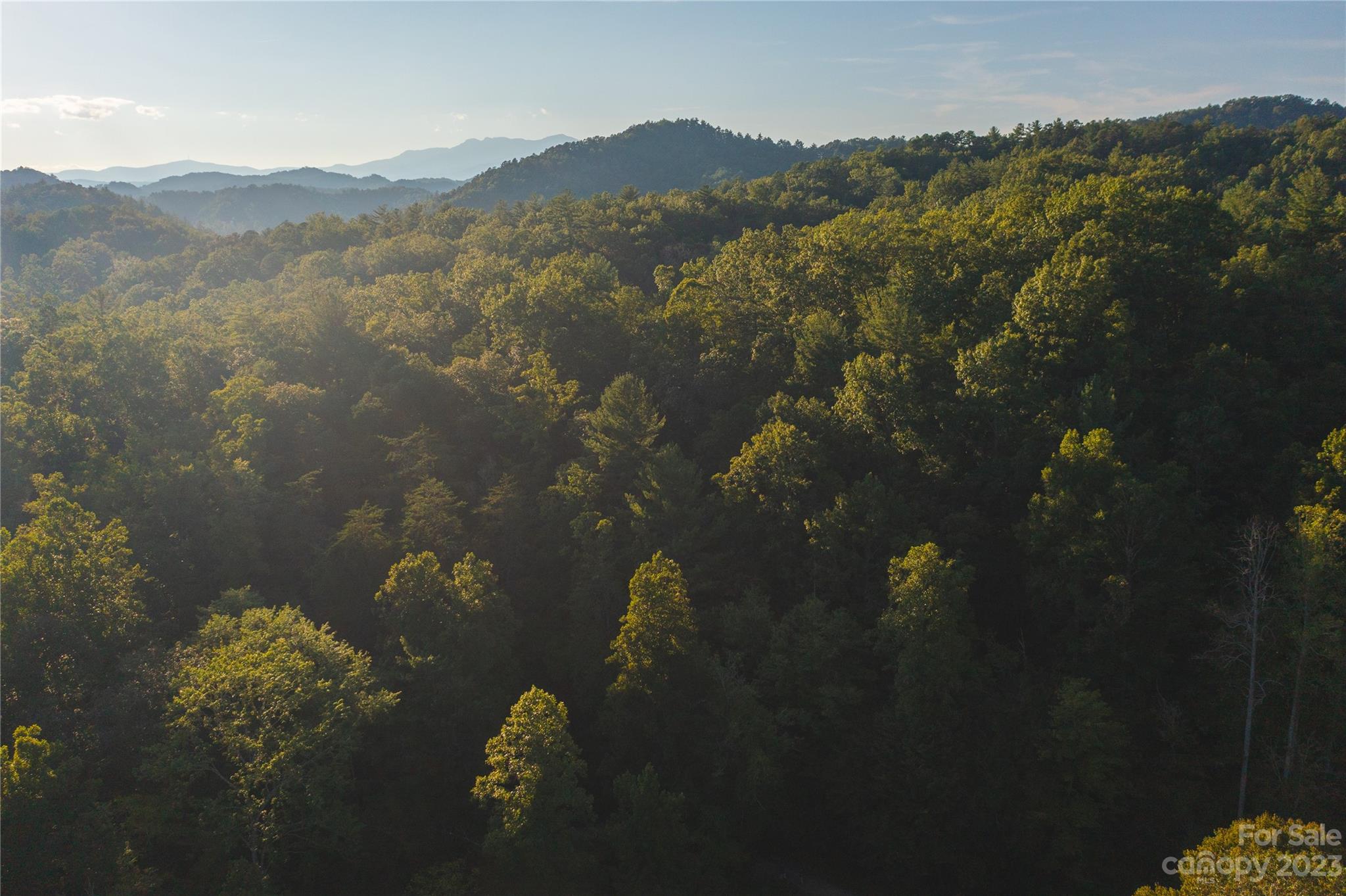 Discover your own slice of paradise with this exclusive 10+/- acre tract nestled within Caldwell County, awaiting precise surveying from a larger, expansive tract.

This remarkable piece of land offers a myriad of possibilities, inviting you to explore its potential for residential development, hunting expeditions amidst abundant wildlife, timber harvesting opportunities, and indulgent recreational pursuits.

Experience unparalleled seclusion as this parcel is cocooned in serenity, boasting an enviable border with NC gameland, ensuring a private haven for your tranquil retreats.

Nestled at the foothills of the illustrious Blueridge Mountains, this location not only promises breathtaking natural beauty but also boasts convenient access to amenities. A mere 15-minute drive will transport you to the captivating allure of Blowing Rock, while Lenior, NC, is a short 20-minute journey away.