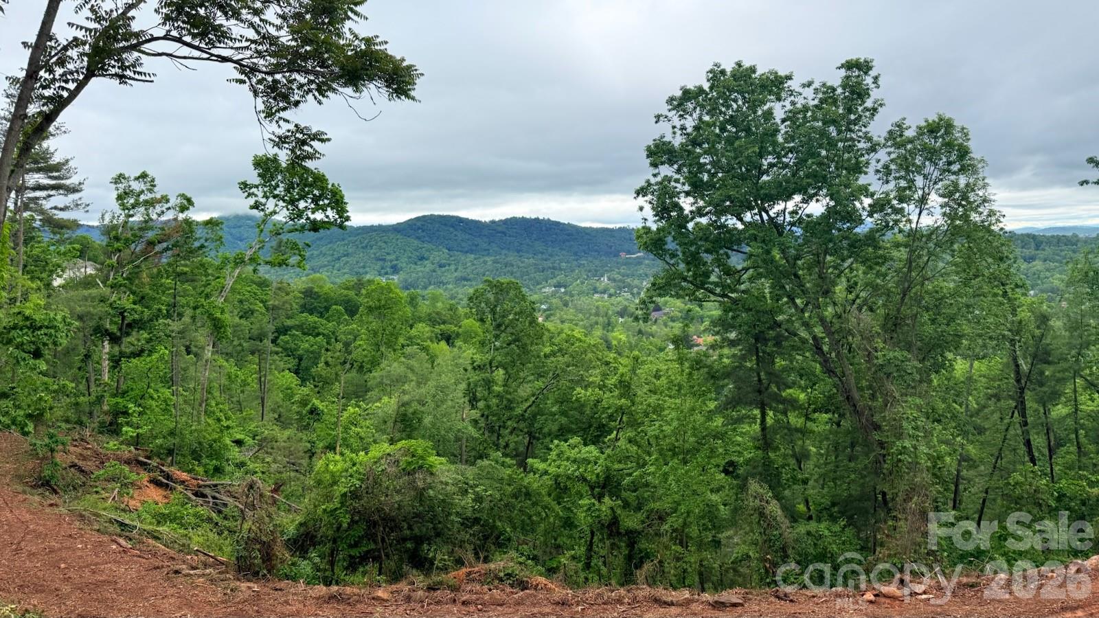 Reynolds Mountain - Land