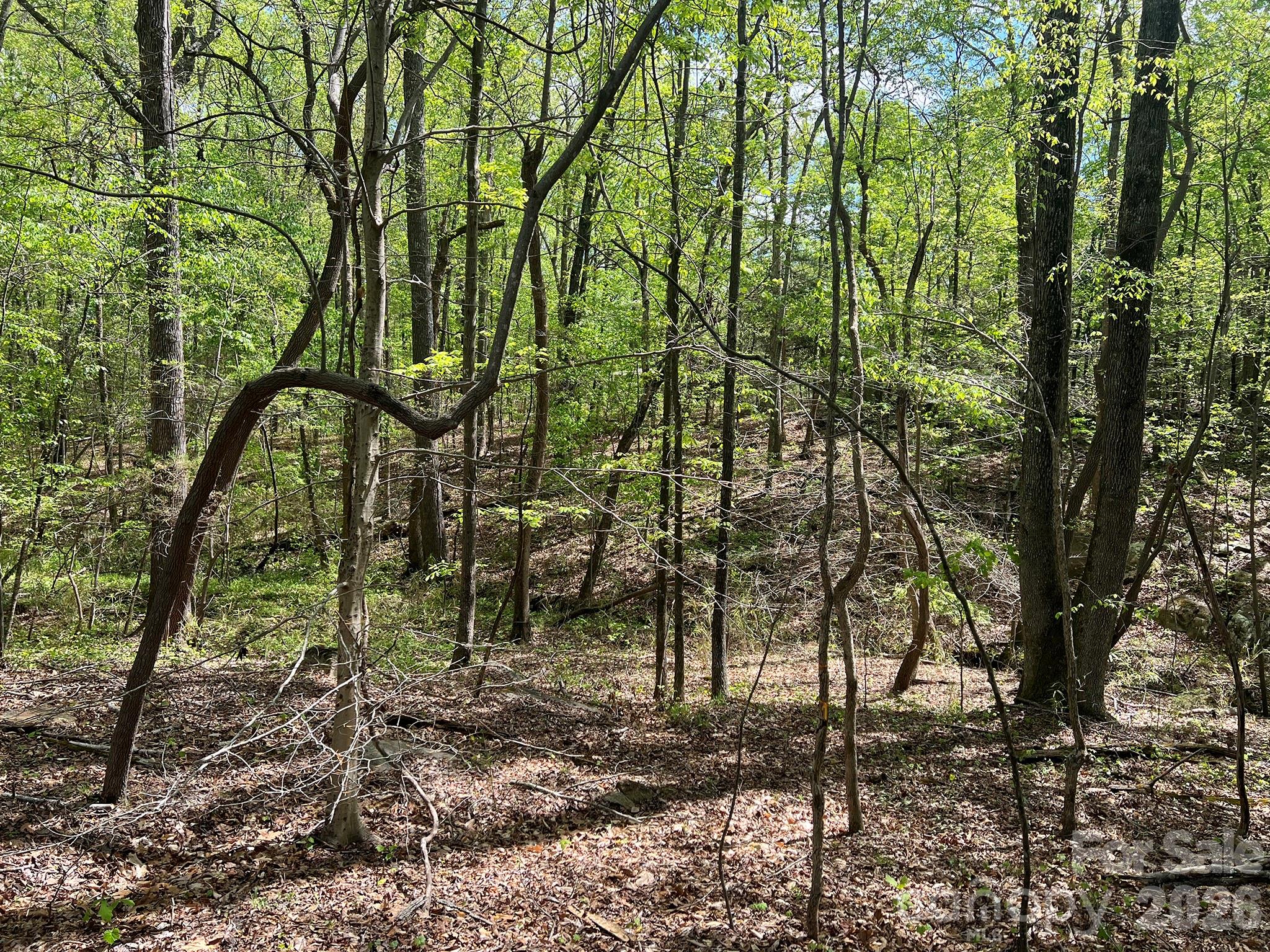 Rock Springs - Land