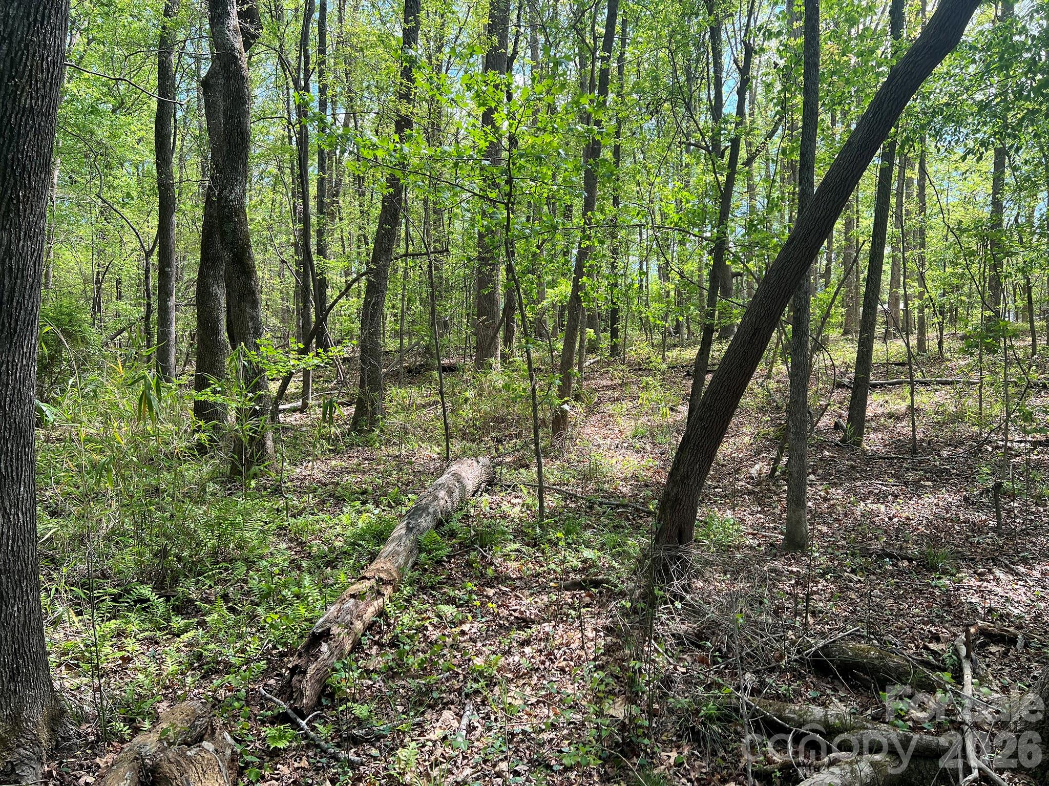 Rock Springs - Land