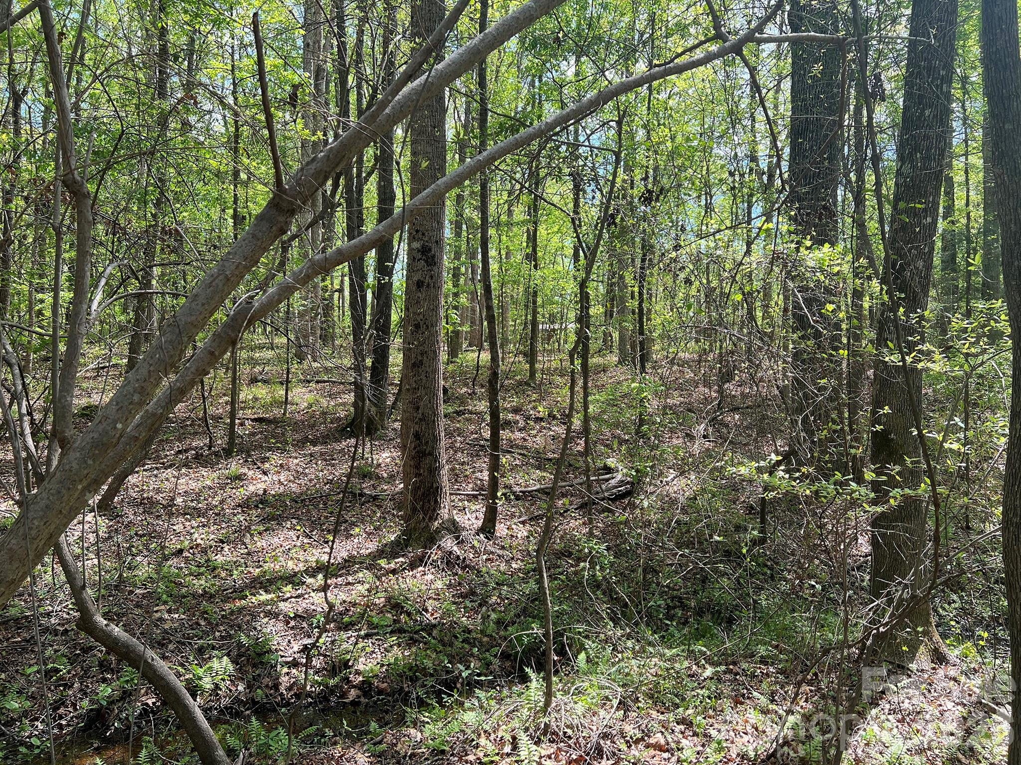 Rock Springs - Land