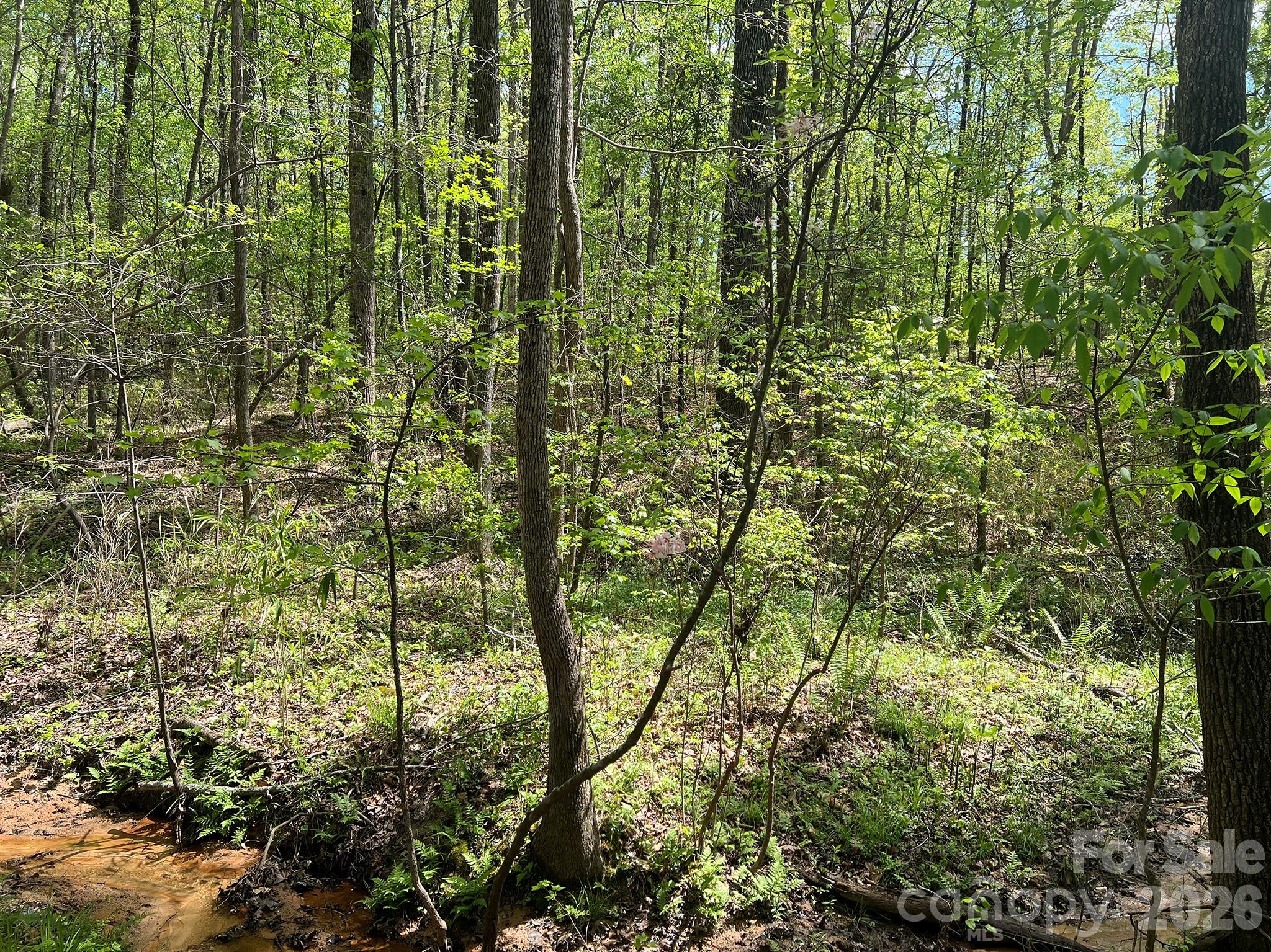 Rock Springs - Land