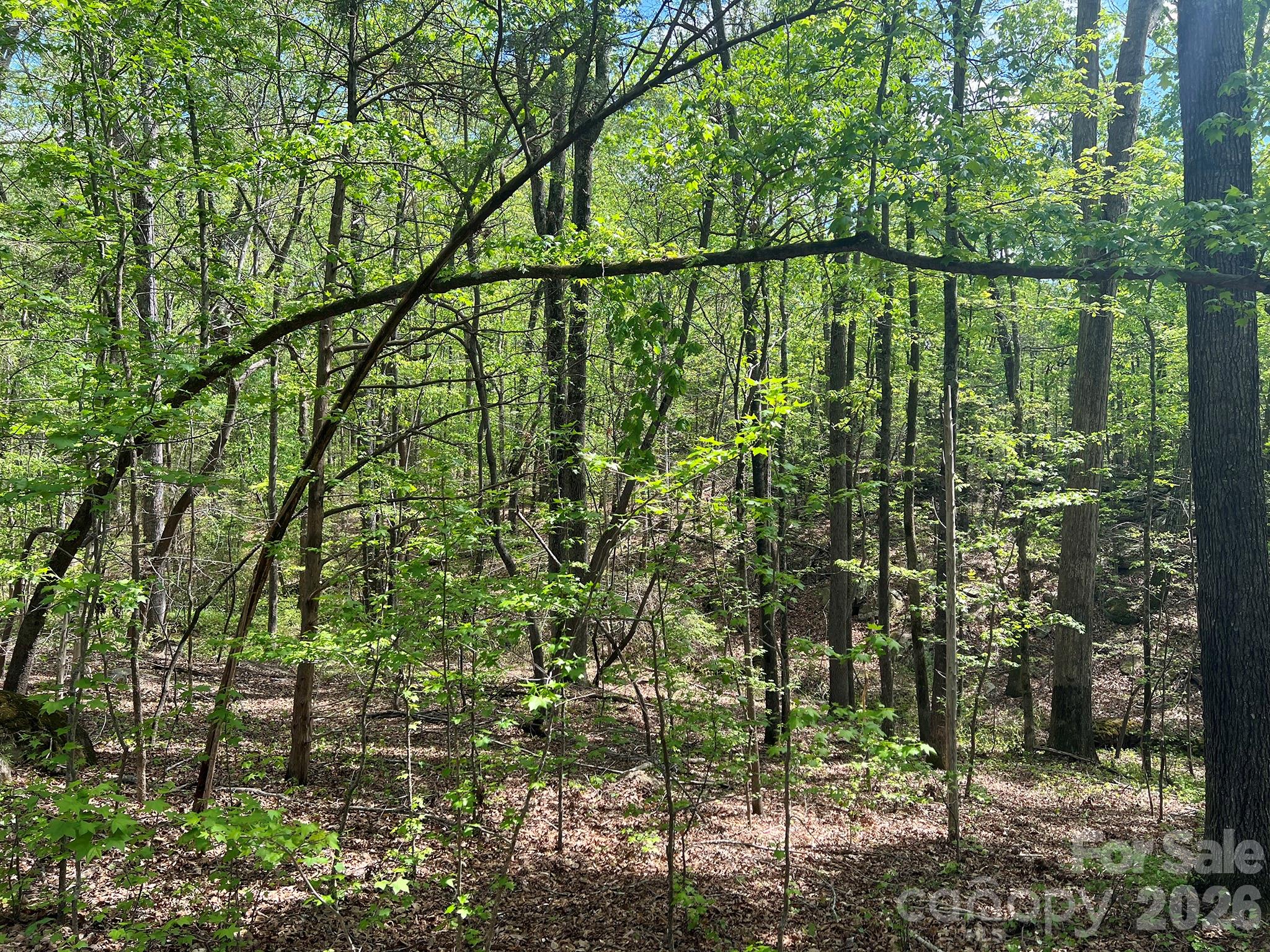 Rock Springs - Land
