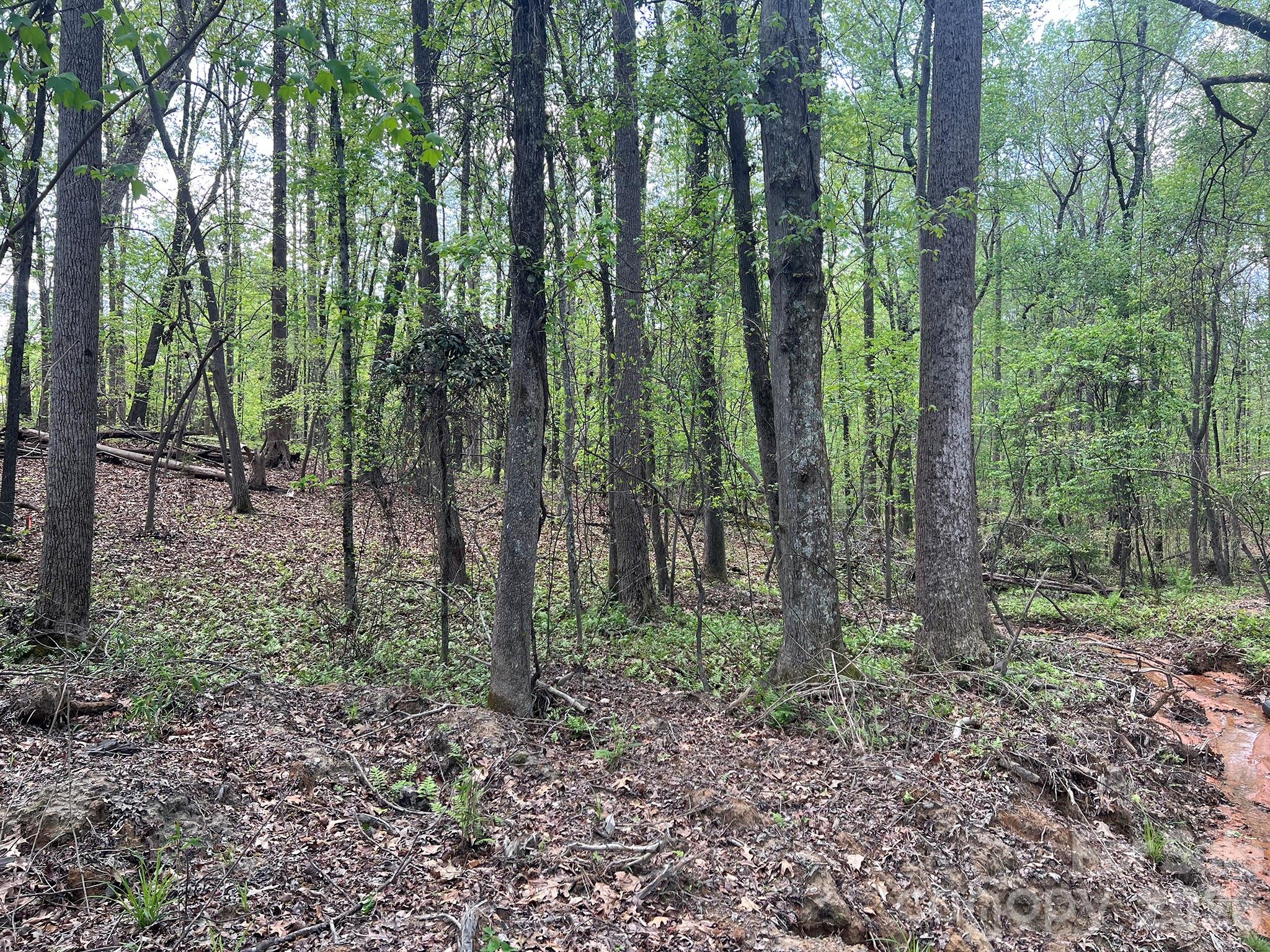 Rock Springs - Land