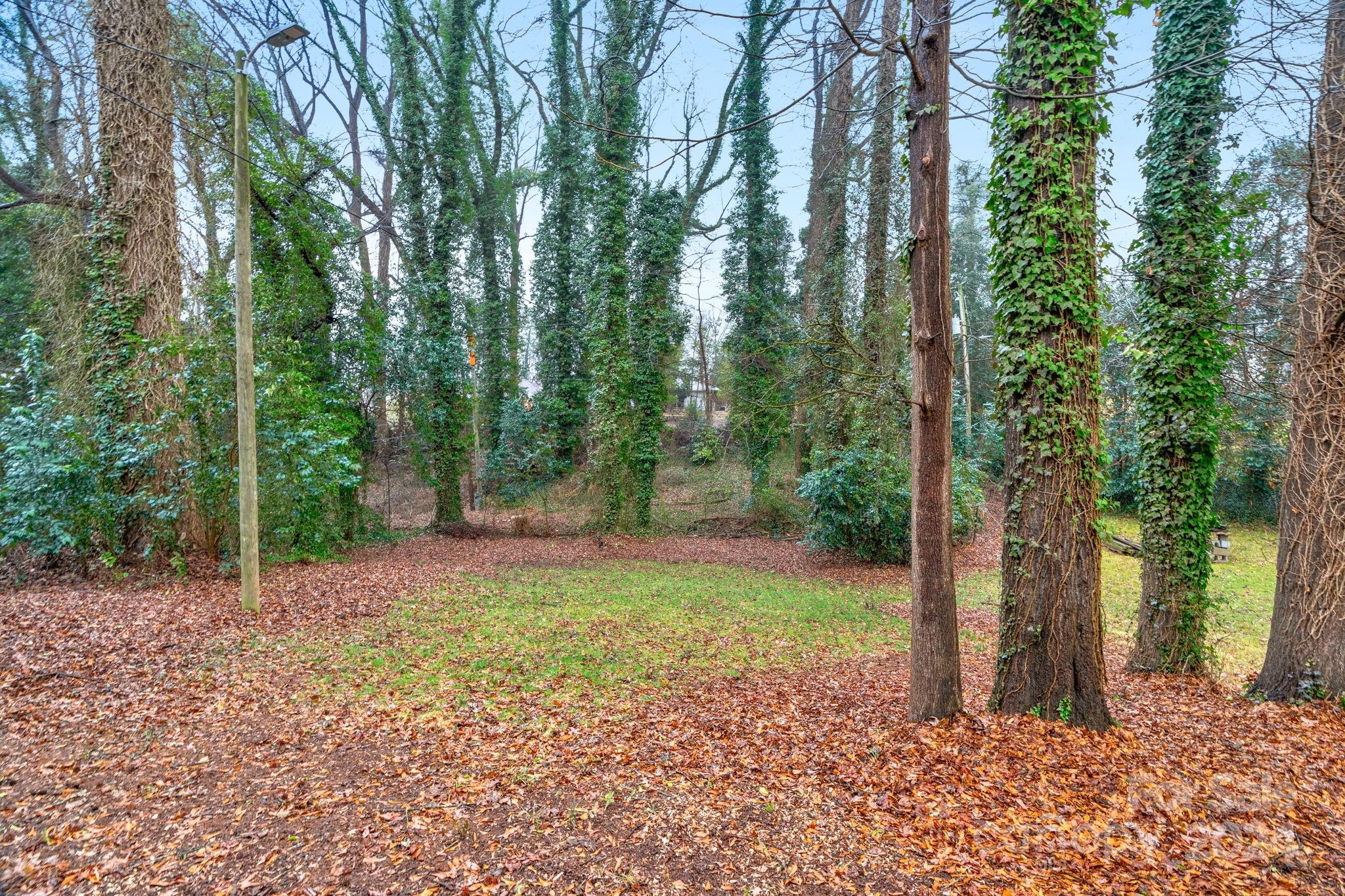 Barringer Woods - Residential