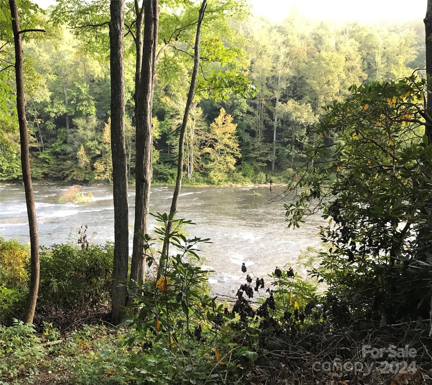 River Woods - Land