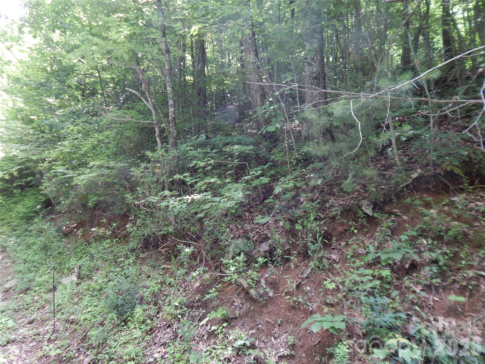 Smoky Falls - Land