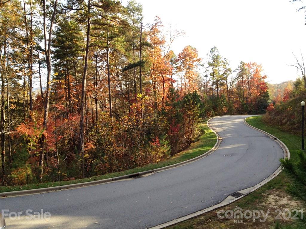 Great building lot in beautiful Straus Park. Enjoy the community amenities such as the pool, clubhouse and tennis courts all on this beautiful former summer camp property located minutes to downtown Brevard and the Transylvania Regional Hospital.