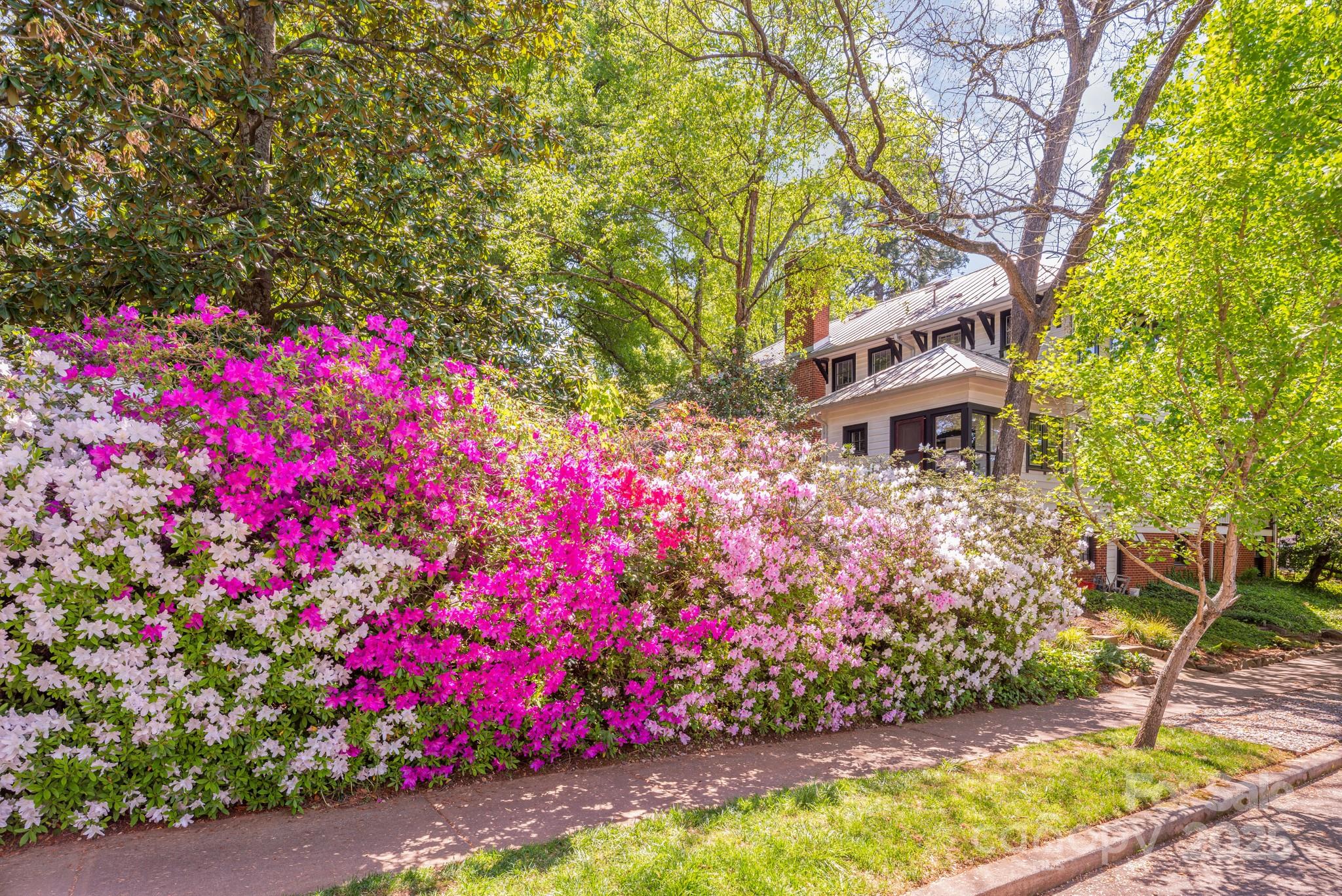 Elizabeth - Residential