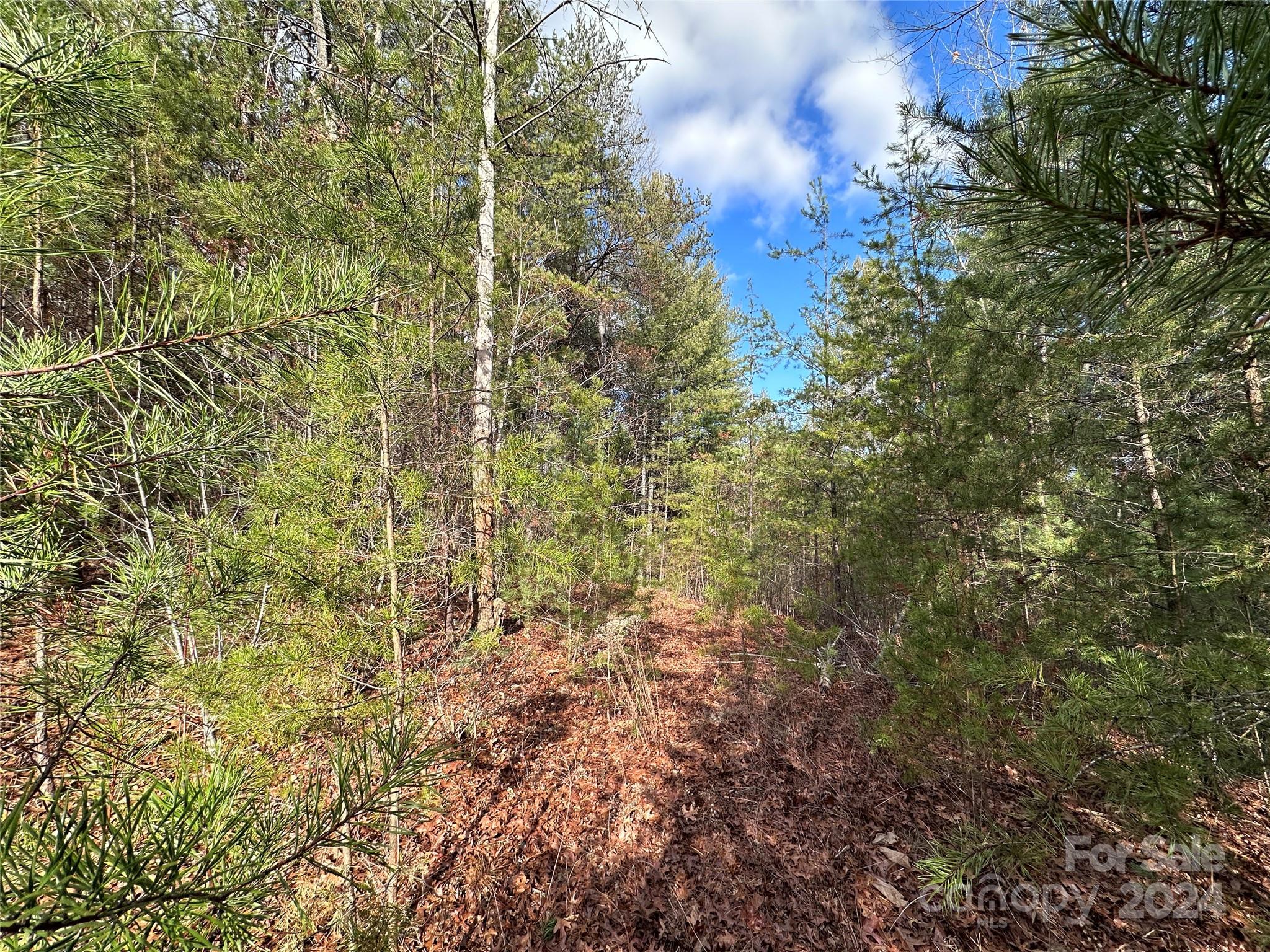 The Bluffs of Wilson Creek - Land