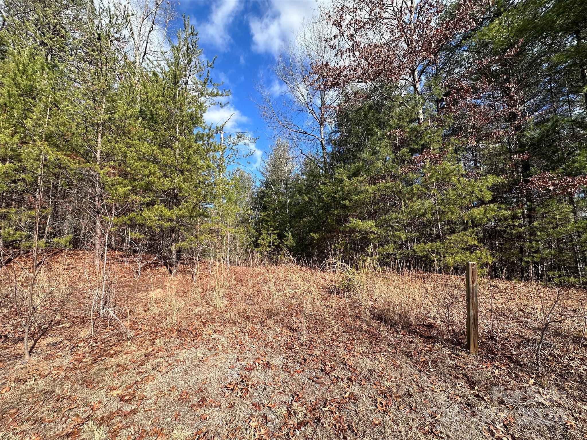 The Bluffs of Wilson Creek - Land
