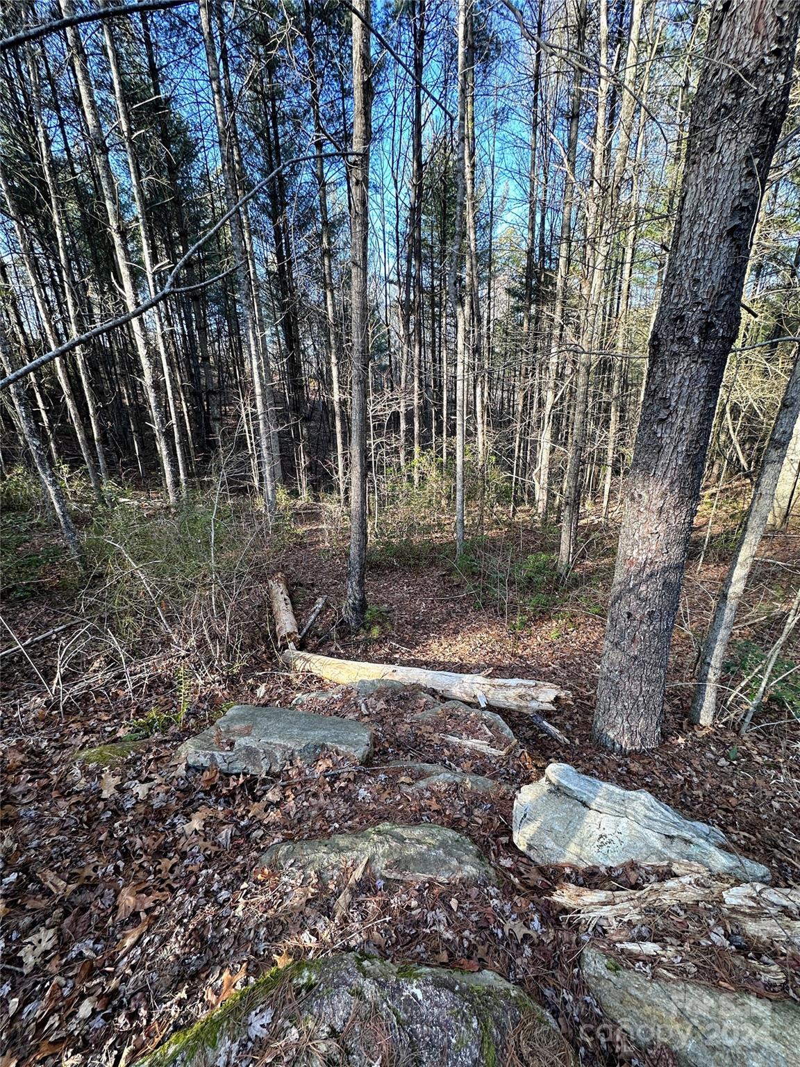 The Bluffs of Wilson Creek - Land
