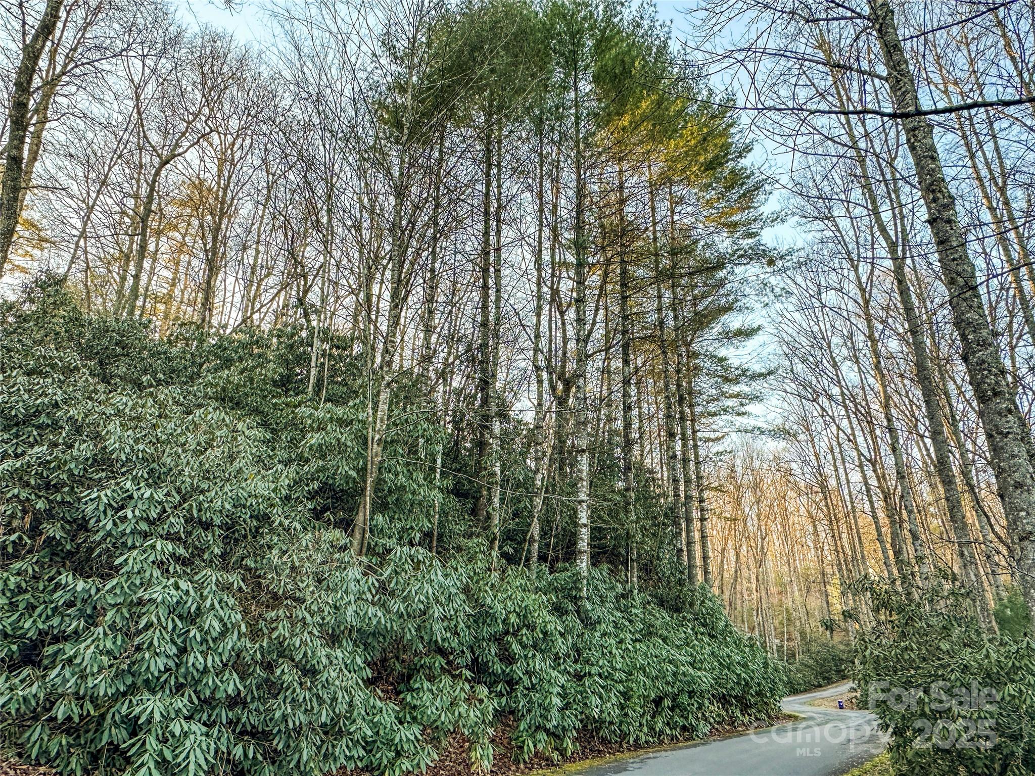 Motivated sellers - will consider all offers. Nestled in the peaceful Middlemount community, Lot D17 offers almost an acre of a private, wooded setting at the top of the ridge with the potential for views. Located just under 2 miles from downtown Brevard, this gently sloping lot combines seclusion with convenience. Enjoy easy access via well-maintained paved roads in an established neighborhood. Whether you're planning your dream mountain retreat or an investment property, this lot provides a rare opportunity to build close to town while surrounded by nature. Well and septic needed. Owner is licensed NCREA.