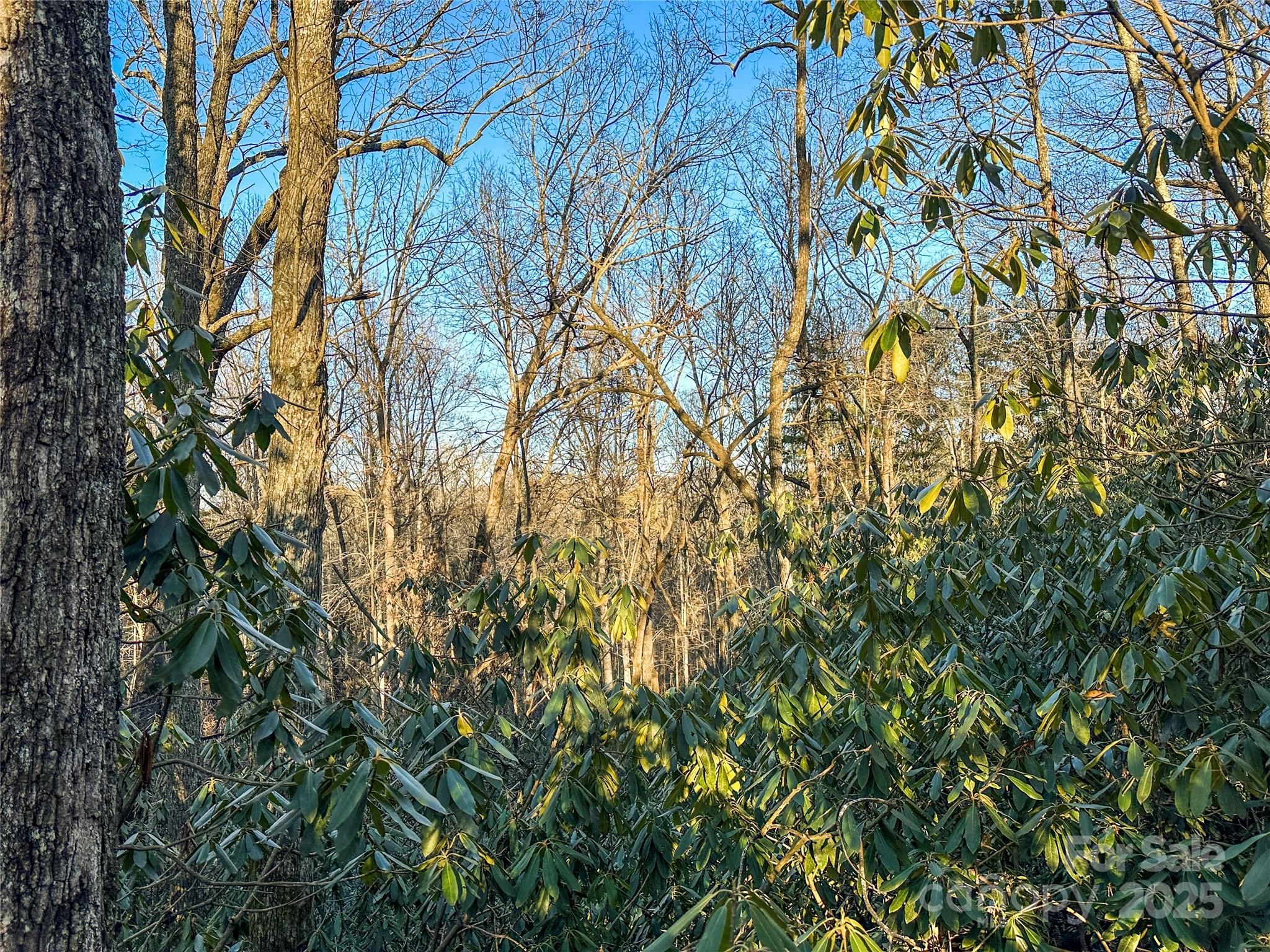 Middlemount - Land