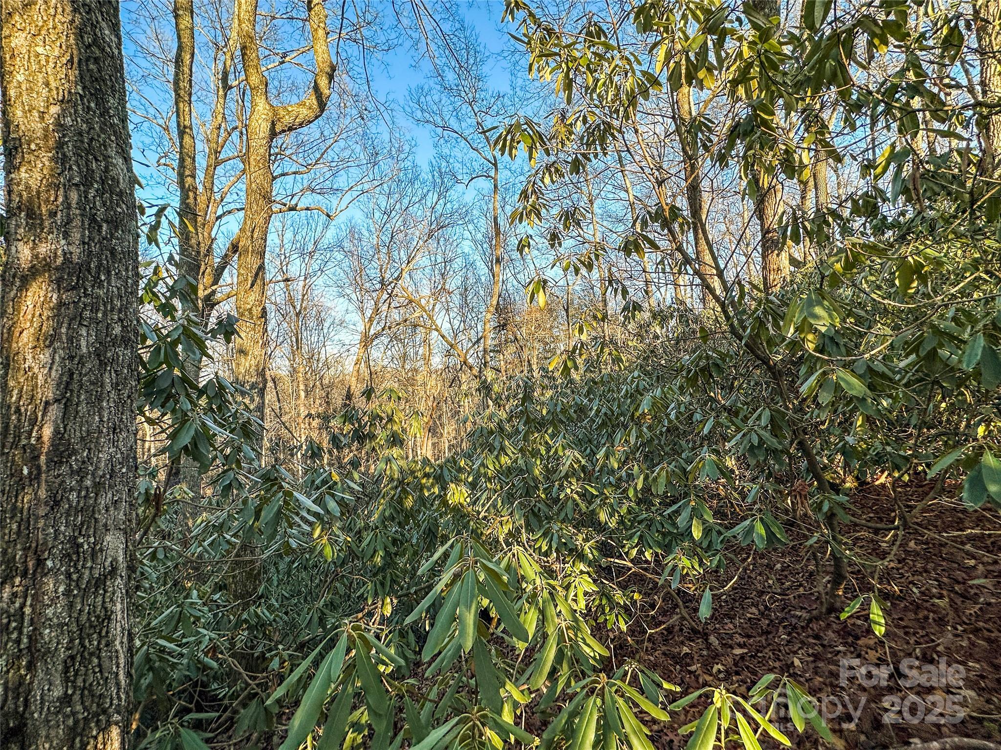 Middlemount - Land