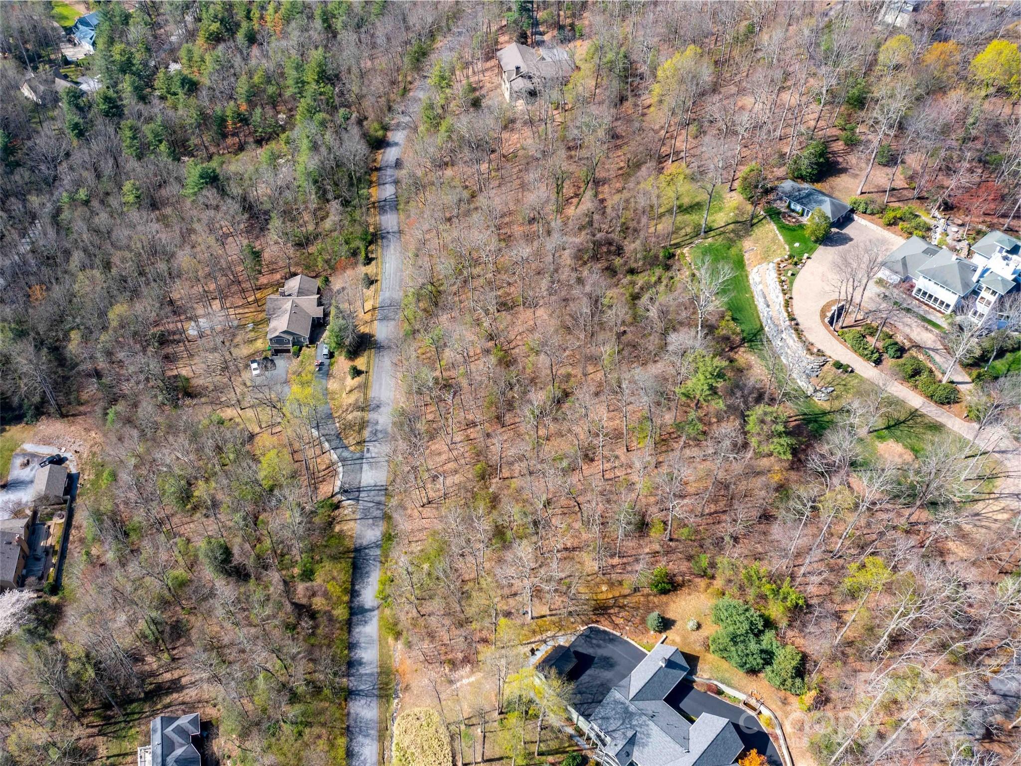 Trenholm Woods - Land