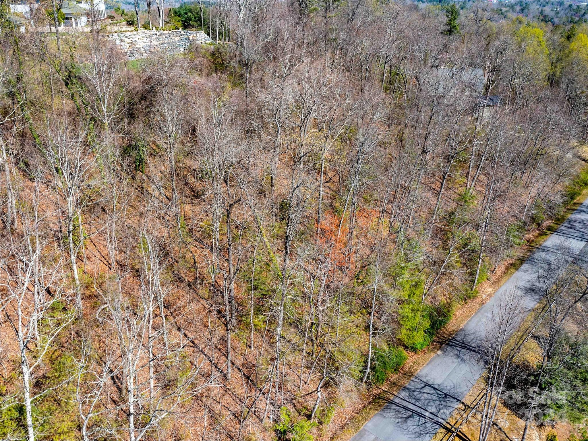 Trenholm Woods - Land