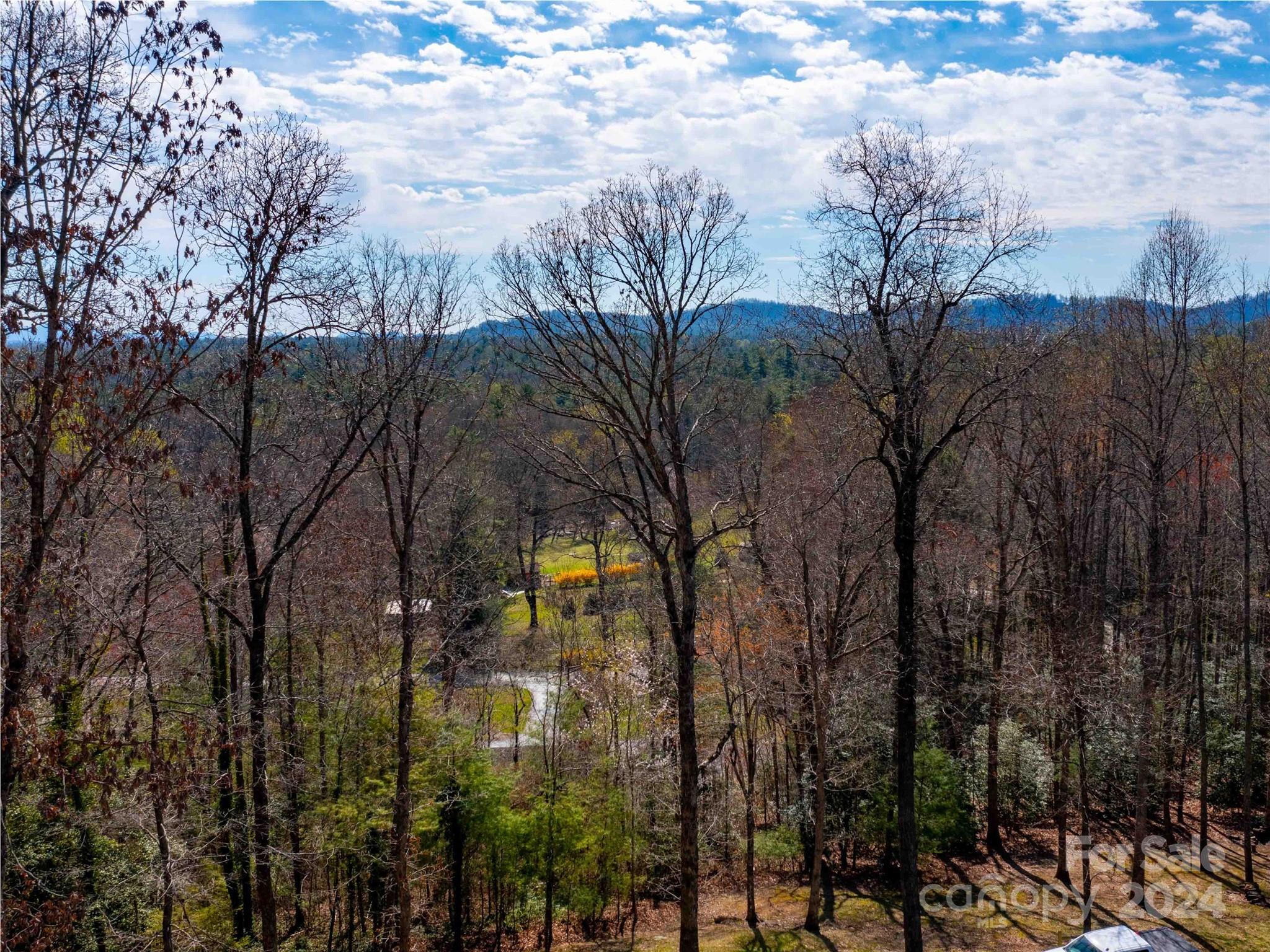 Trenholm Woods - Land