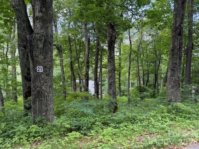 Is there a buildable mountain lot in the Maggie Valley/Waynesville area with gated access, paved roads, underground utilities, and access to year-round recreation? This lot in Smoky Mountain Retreat at Eagles Nest offers a rare opportunity to create a full-time residence, vacation retreat, or investment-minded mountain home in one of the area’s established gated communities. The property is located within the highly sought-after Smoky Mountain Retreat at Eagles Nest, a 1,000-acre gated log home community known for its natural beauty, abundant wildlife, paved roads, and elevated mountain setting that feels tucked inside a national park.

Discover the opportunity to build in Smoky Mountain Retreat at Eagles Nest, a sought-after gated mountain community in Maggie Valley, North Carolina, known for its natural beauty, well-maintained paved roads, underground utilities, and impressive elevations above 4,000 feet. Surrounded by the peaceful scenery of the Smoky Mountains, this community delivers the quiet retreat feel buyers want while keeping everyday conveniences and regional attractions within easy reach.

Located in the mountains of Maggie Valley, this homesite offers convenient access to Waynesville, Cherokee, Asheville, the Blue Ridge Parkway, Great Smoky Mountains National Park, Cataloochee Ski Area, local dining, shopping, hiking, fishing, and four-season mountain recreation. Community amenities include hiking trails and a playground, creating a setting that blends mountain privacy, outdoor enjoyment, and practical convenience.

This particular lot offers a short view potential, giving future owners the flexibility to plan a mountain property that fits their lifestyle and goals. Whether you are dreaming of a private primary residence, a weekend getaway near outdoor adventure, or a mountain home with long-term investment potential, this Maggie Valley mountain lot provides a chance to secure your place in one of Western North Carolina’s desirable high-elevation communities.

For buyers searching for land in the Maggie Valley/Waynesville area. This unique community offers two gates one closer to Maggie Valley the other closer to Waynesville. If your looking for Smoky Mountain community, or a homesite near Waynesville and the Blue Ridge Parkway, this property offers location, setting, and mountain lifestyle potential in one compelling opportunity.
