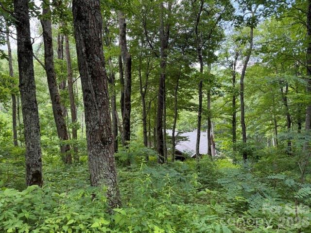 Smoky Mountain Retreat at Eagles Nest - Land
