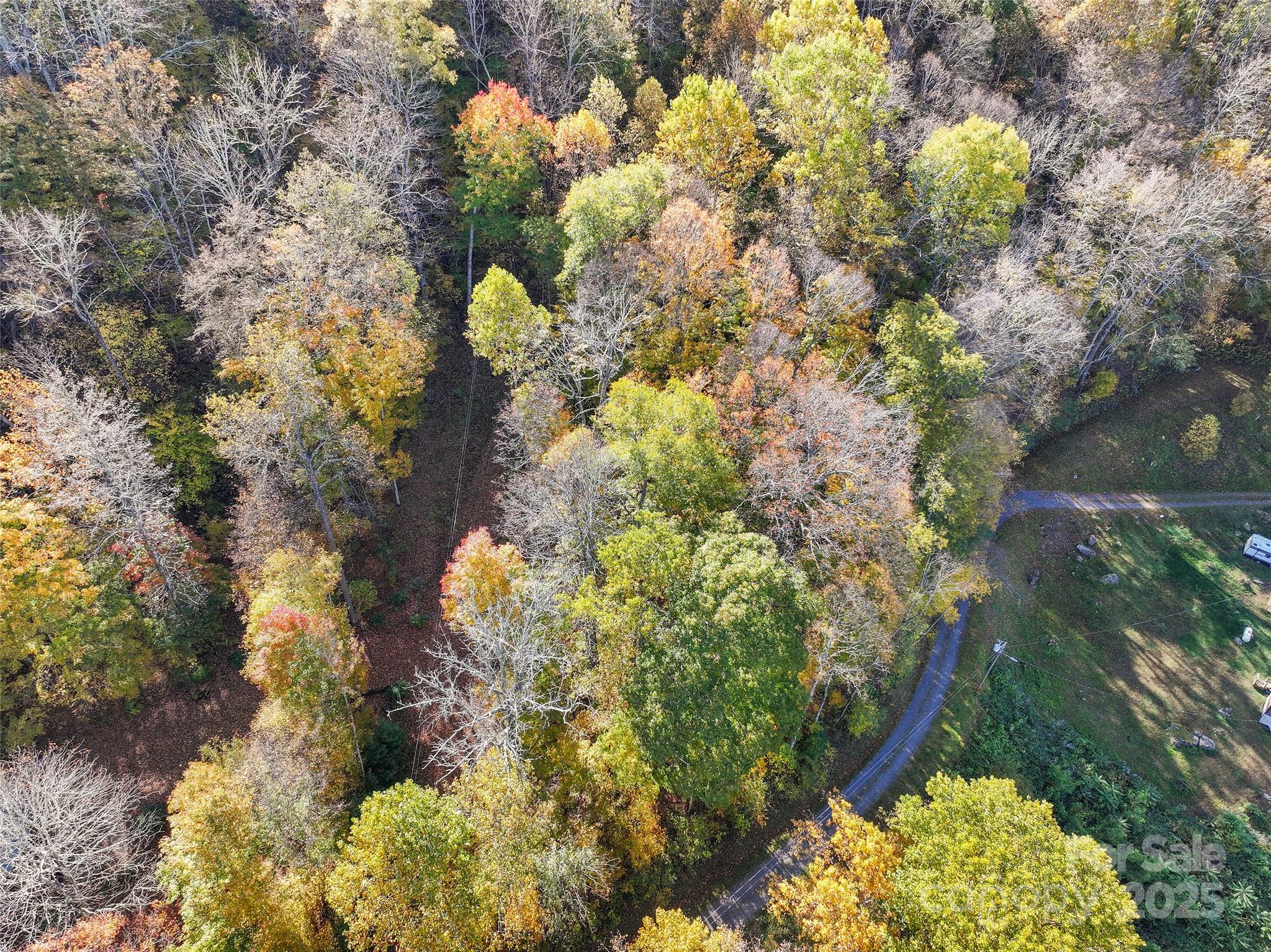 Shadow Woods - Land