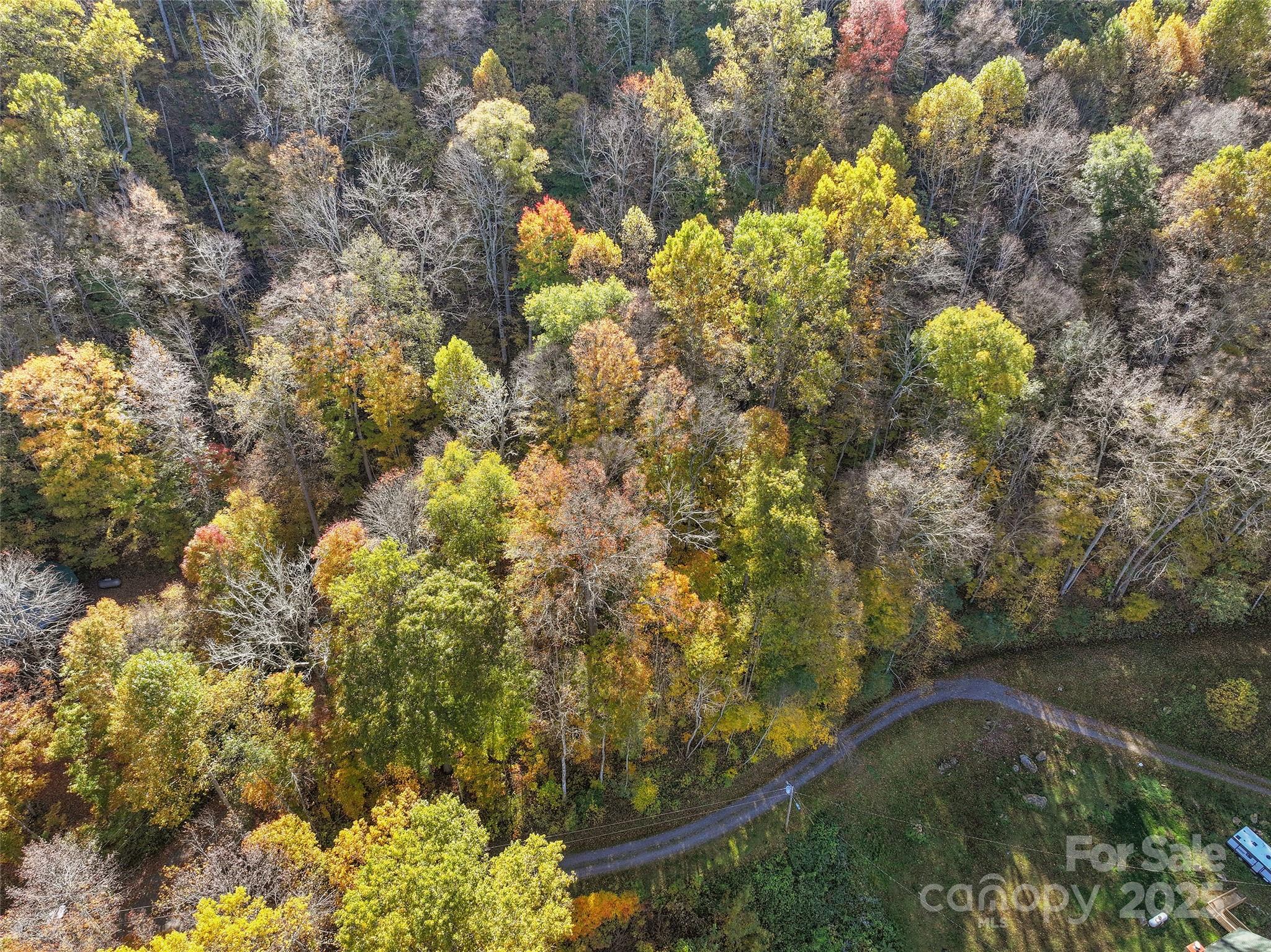 Shadow Woods - Land