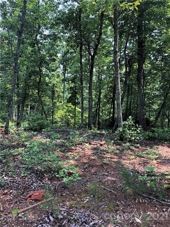 Lure Ridge - Land