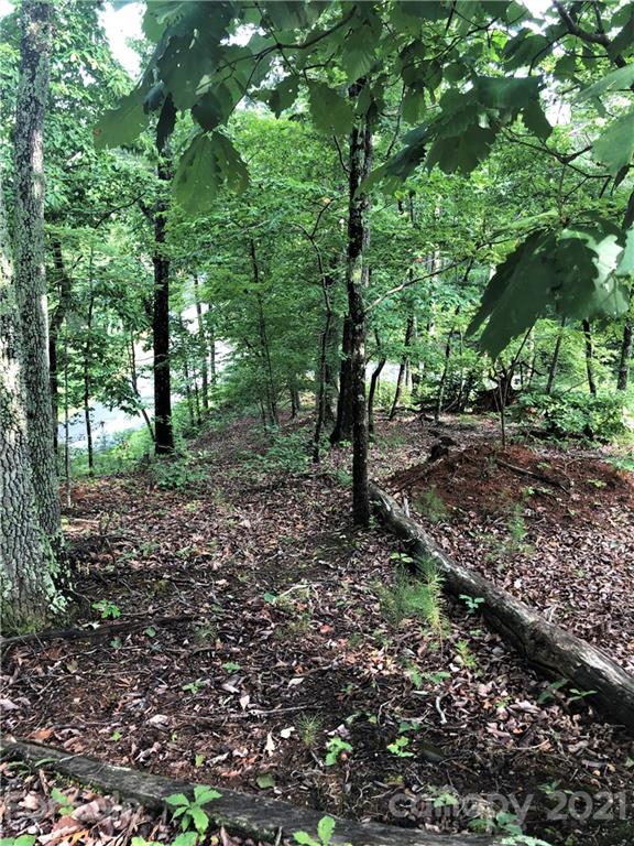 Lure Ridge - Land