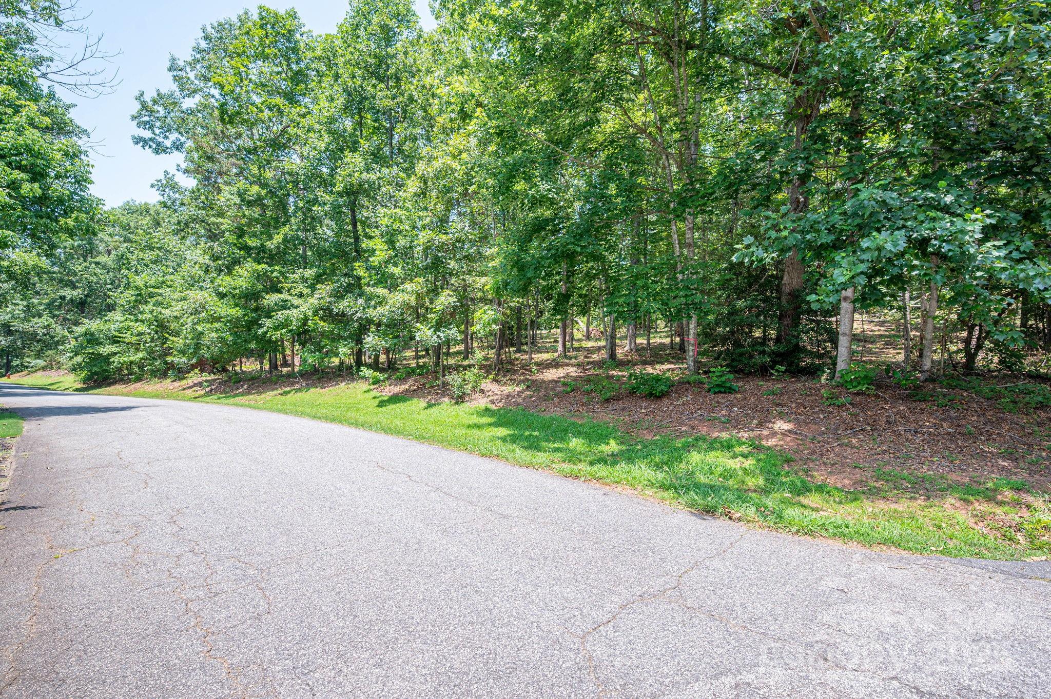Moss Drive at Cleghorn - Land