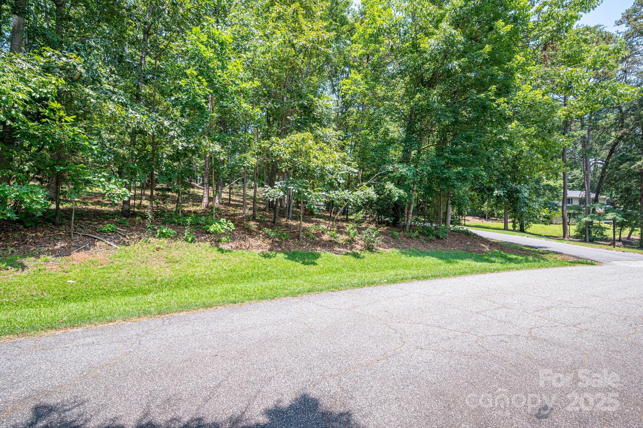 Moss Drive at Cleghorn - Land
