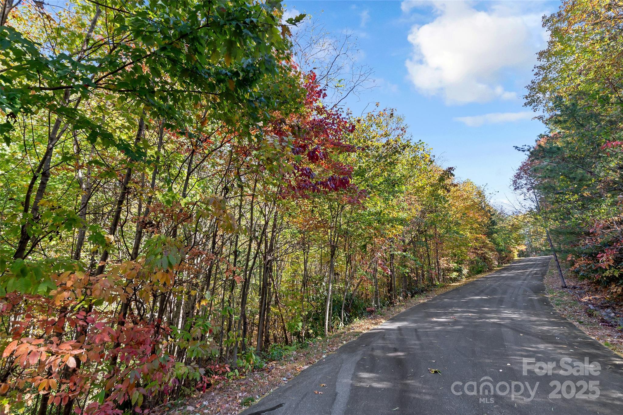Catawba Falls Preserve - Land