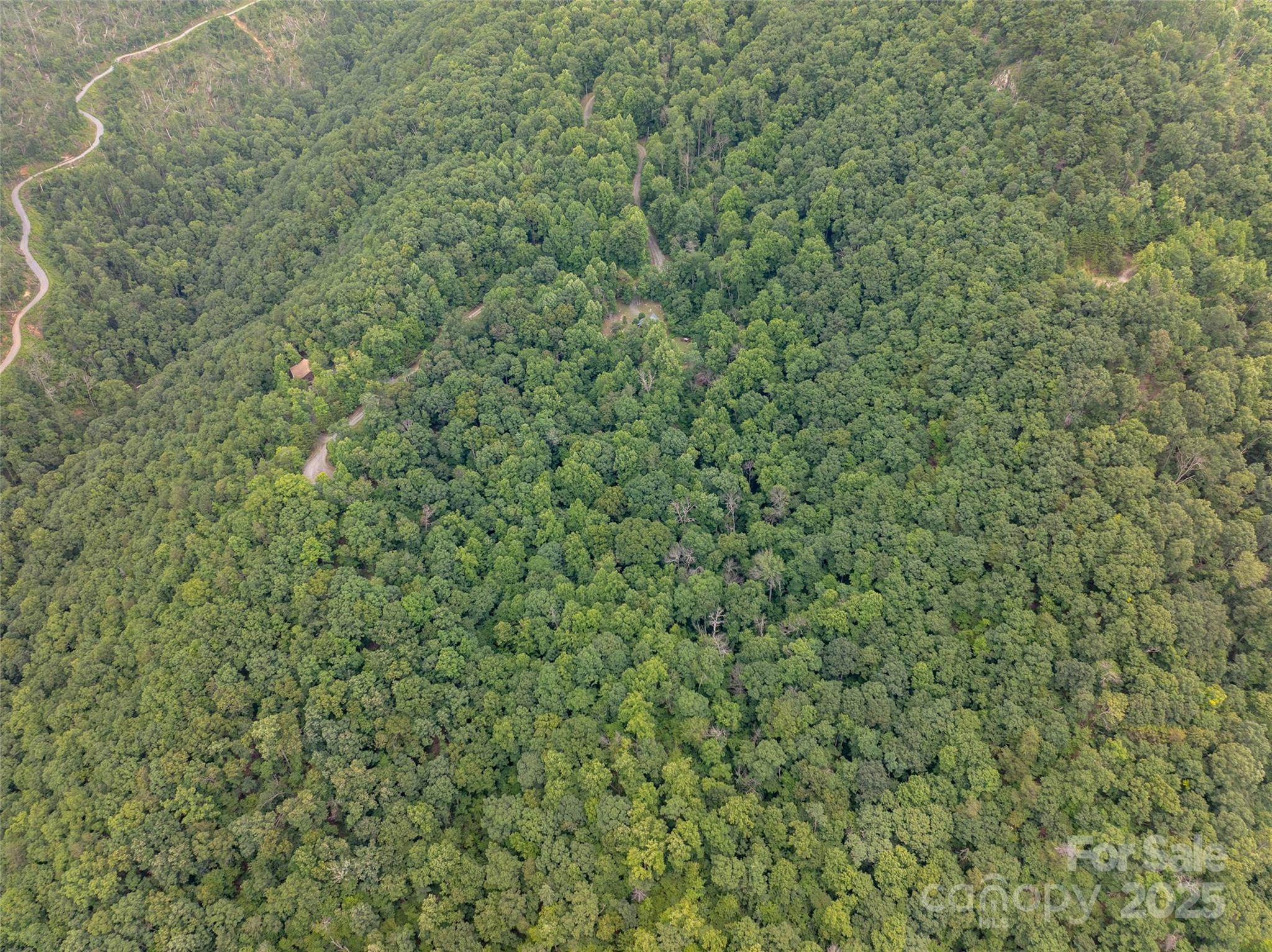 Pinnacle Mountain - Land