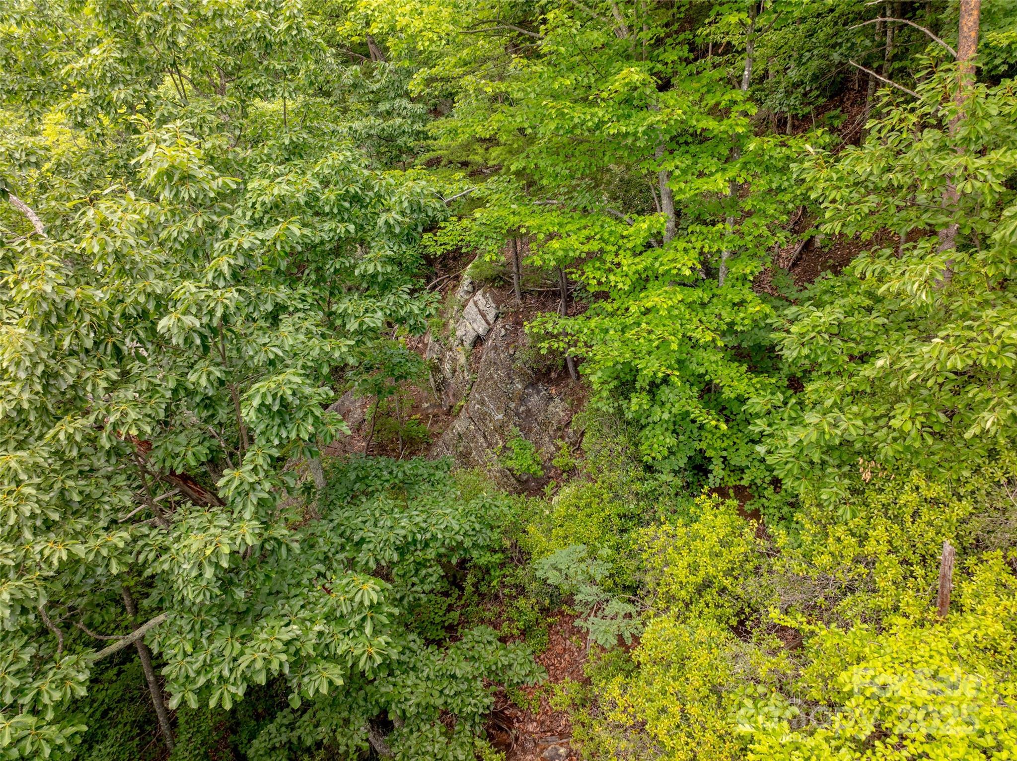 Pinnacle Mountain - Land
