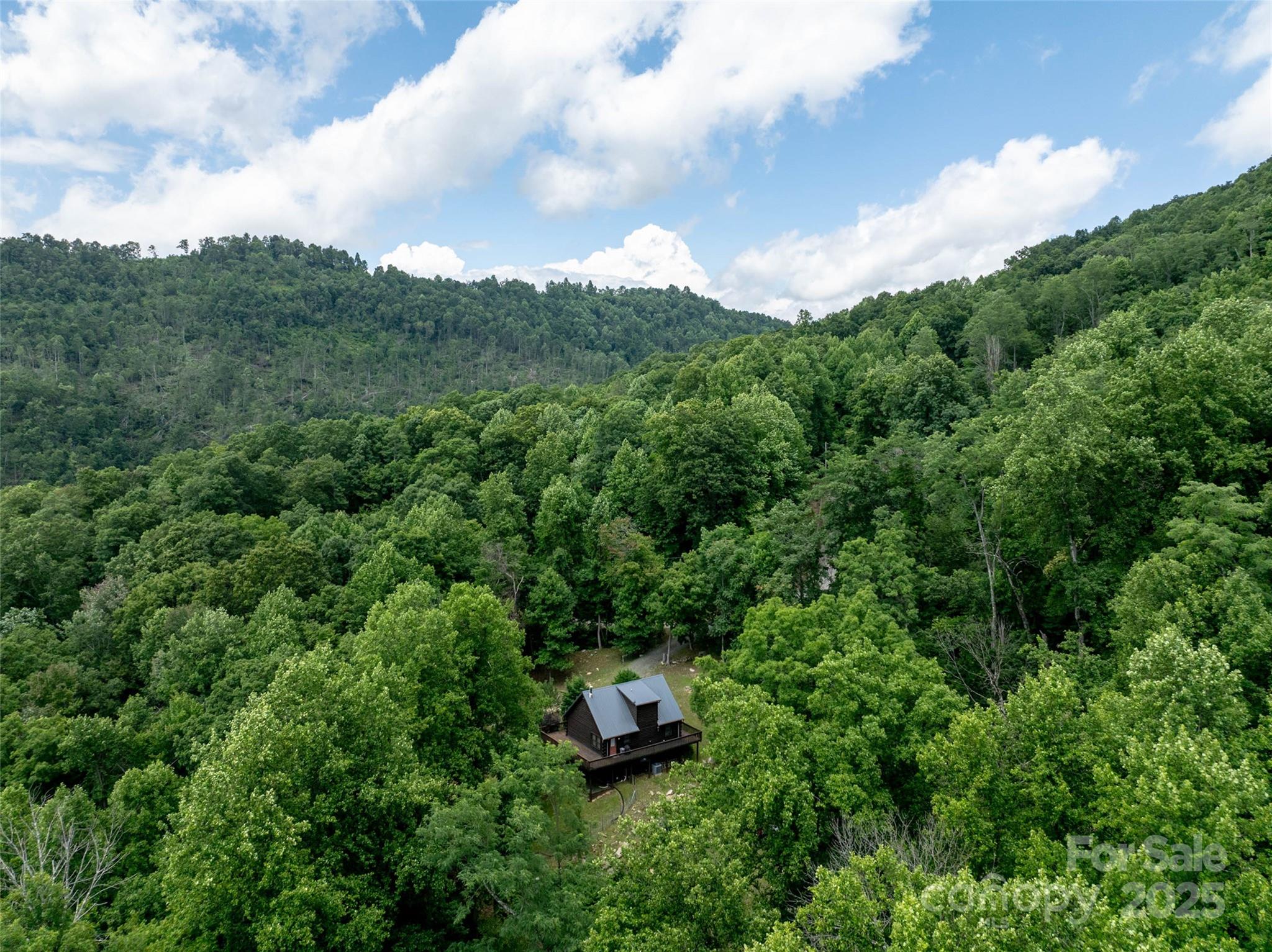Pinnacle Mountain - Land