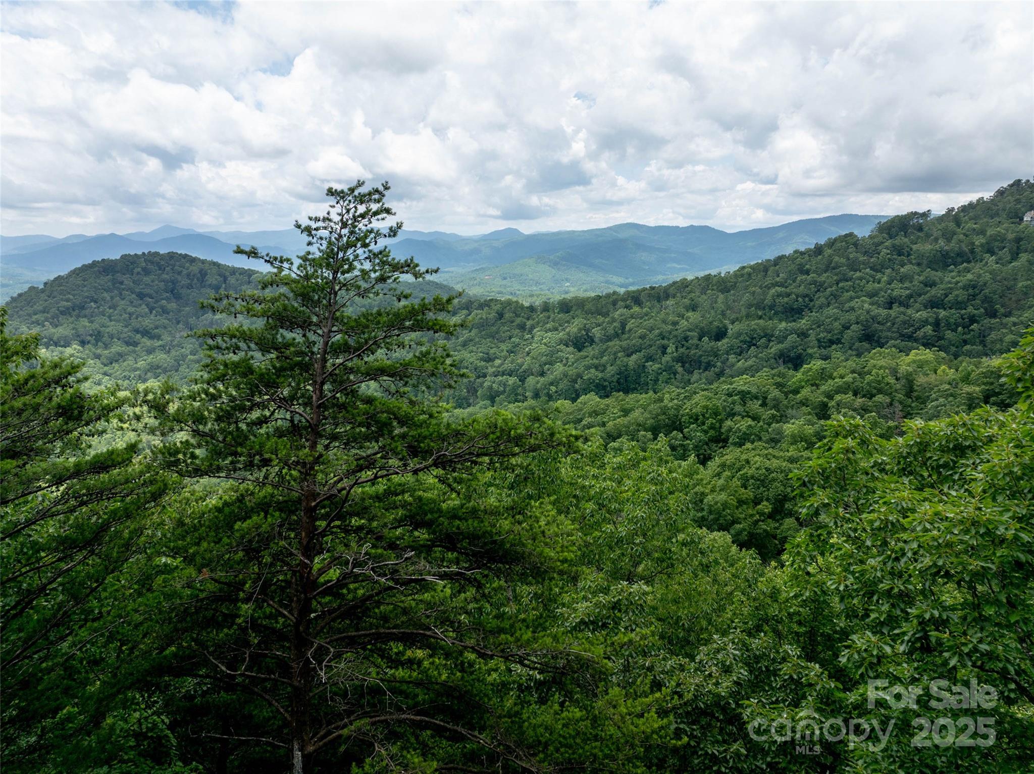 Pinnacle Mountain - Land