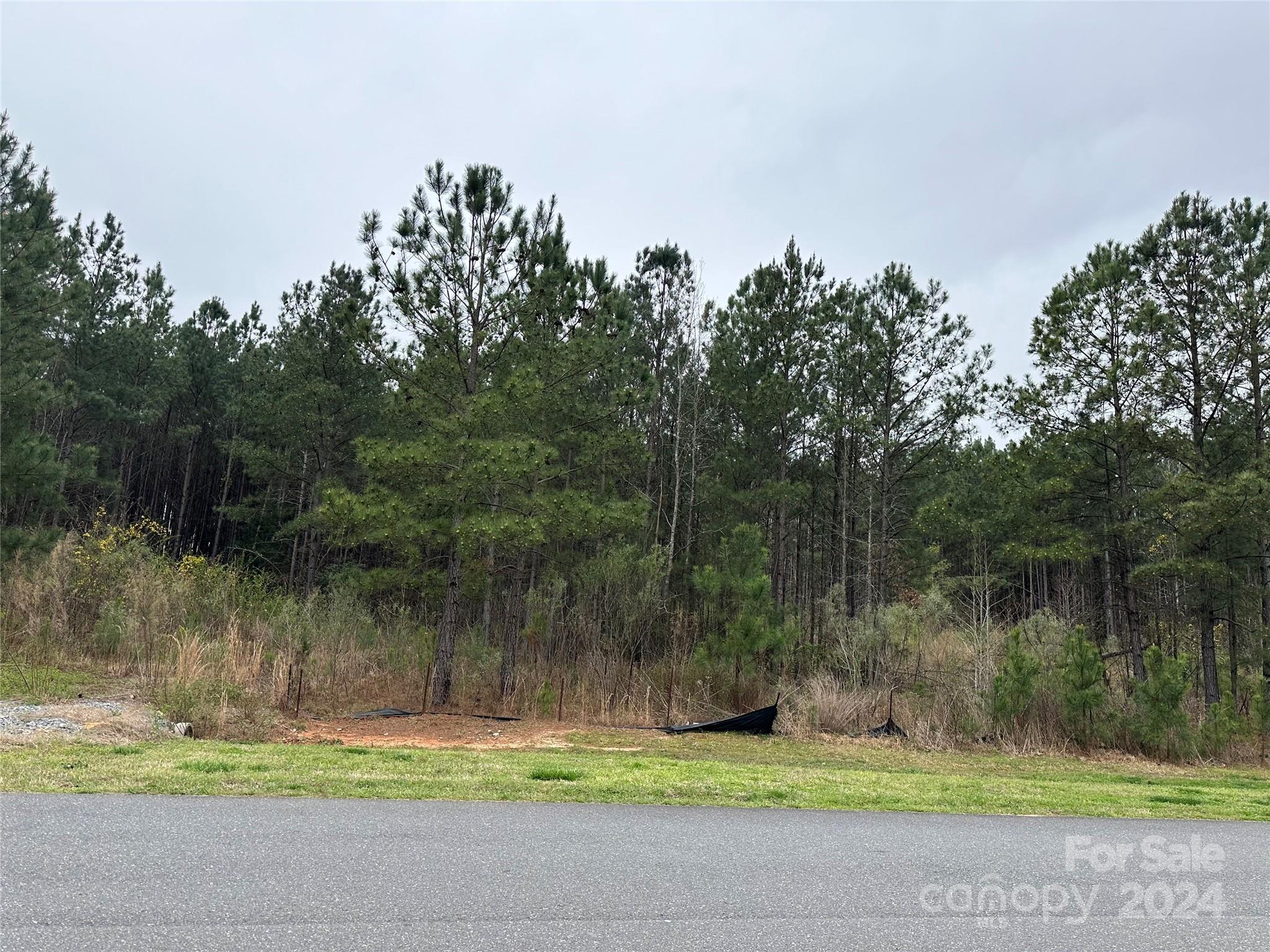 Catawba Shores Estates - Land