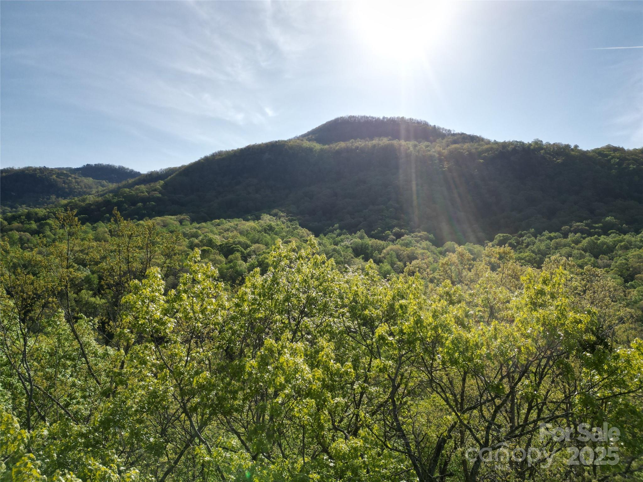 Rumbling Bald on Lake Lure - Land
