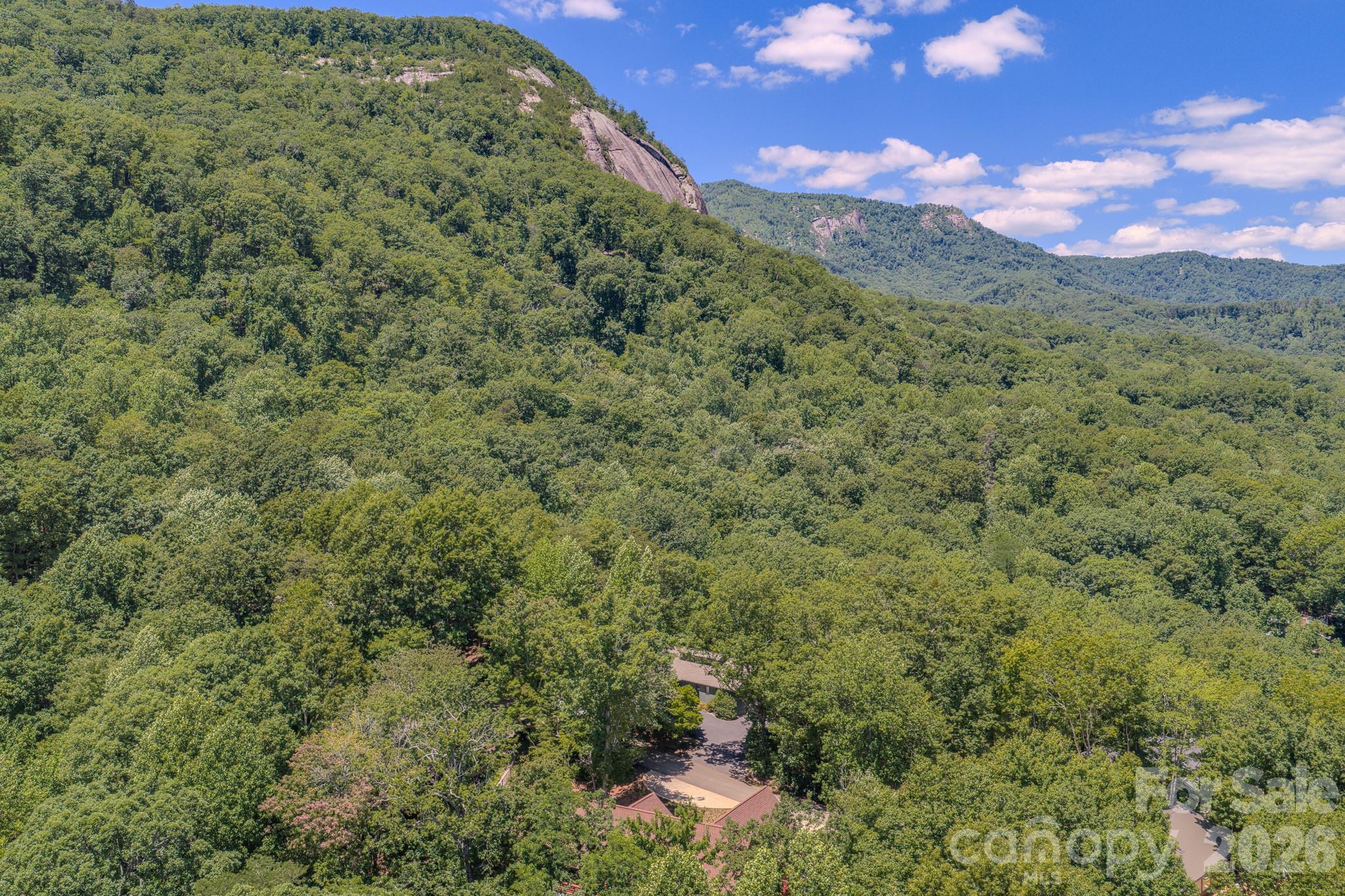 Rumbling Bald on Lake Lure - Residential