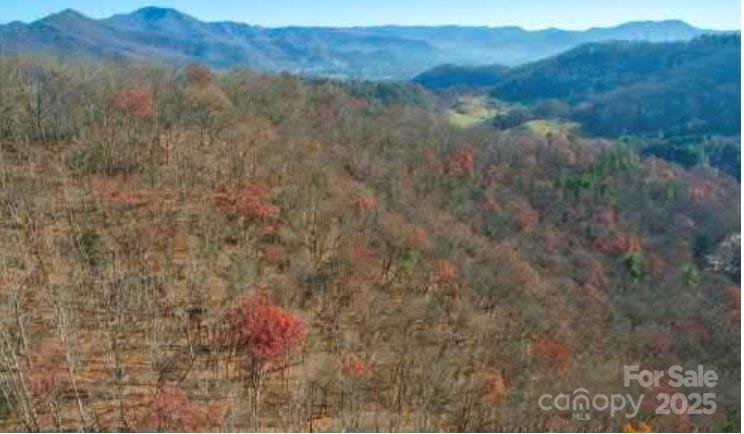 Rabbits Ridge - Land