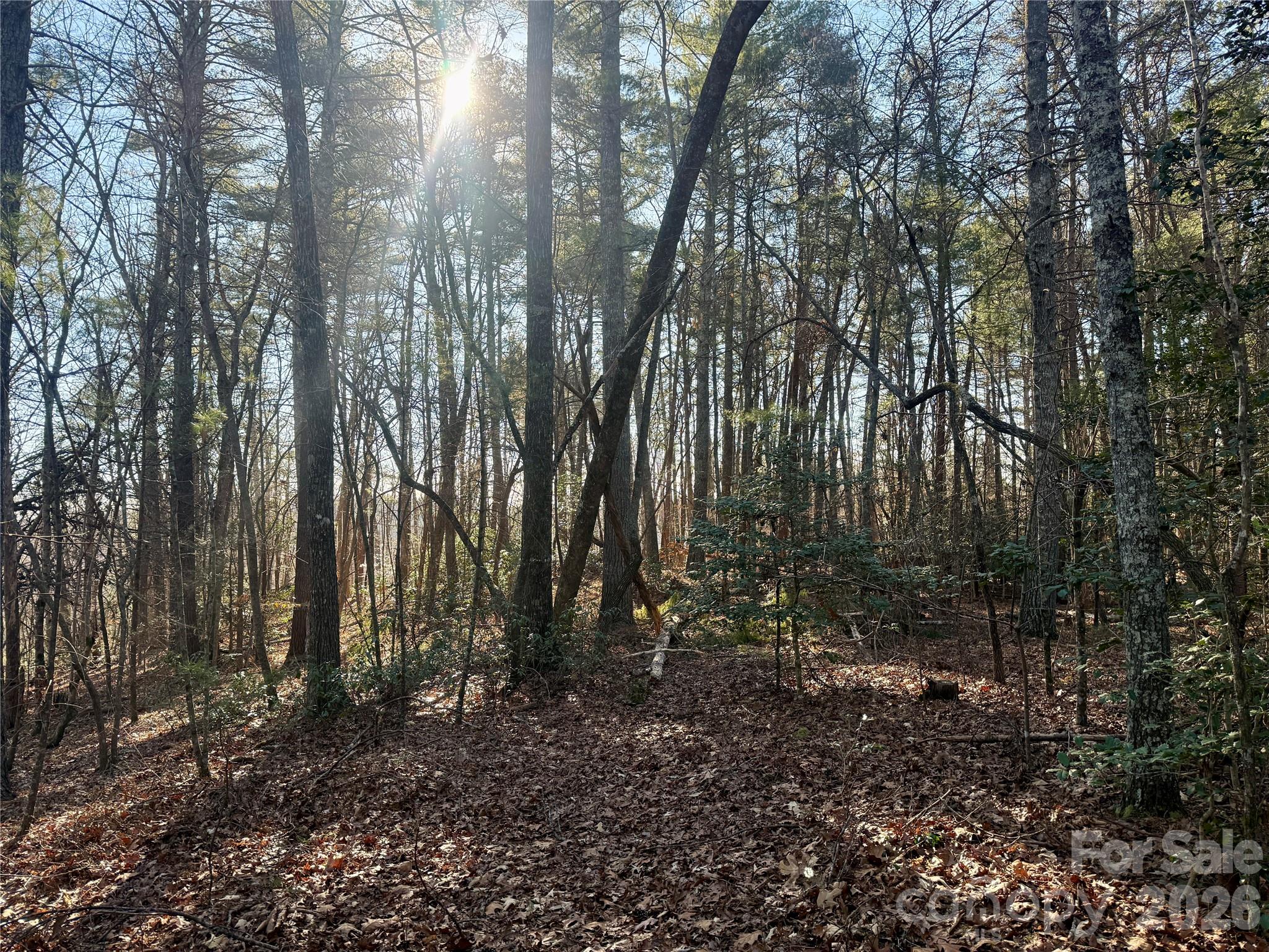 The Coves Mountain River Club - Land