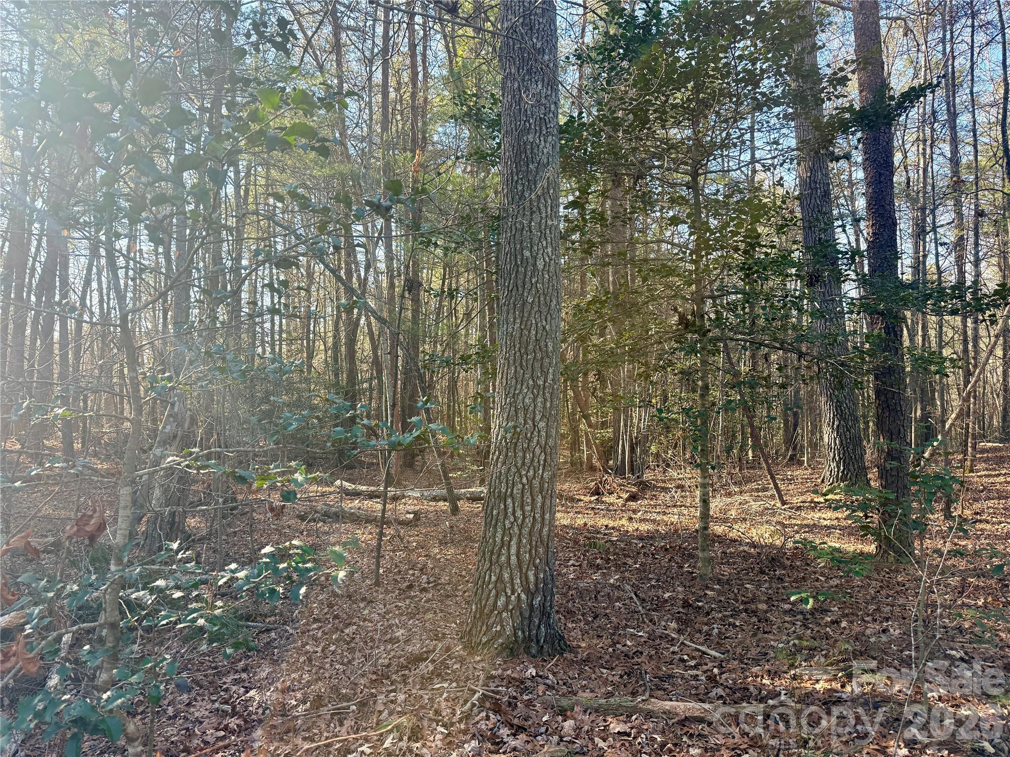 The Coves Mountain River Club - Land