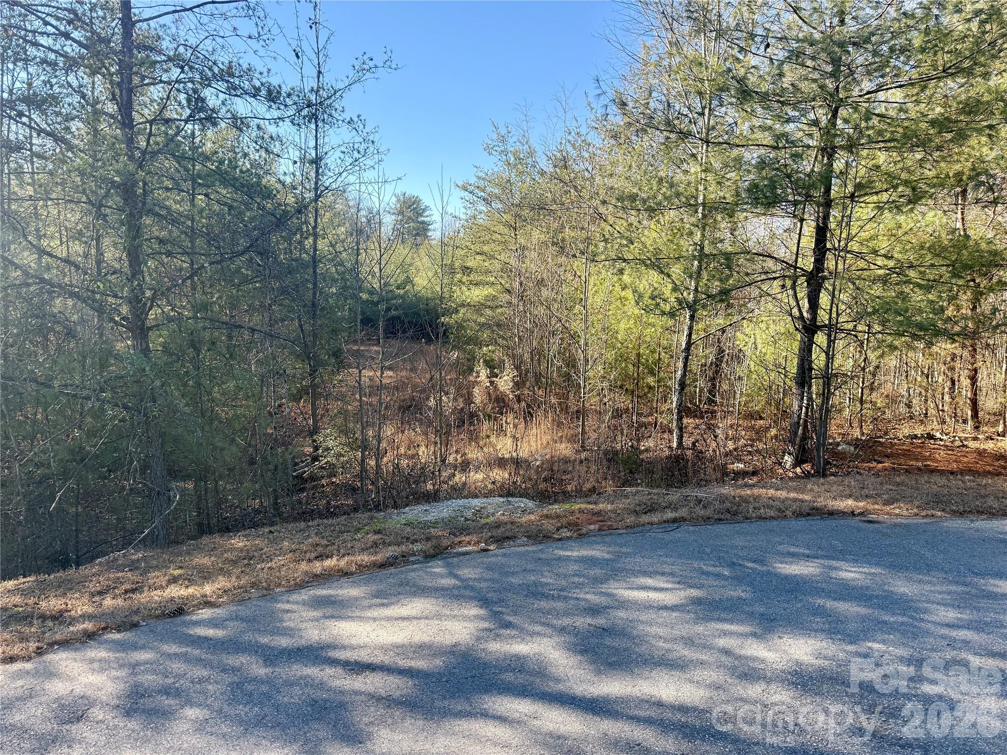 The Coves Mountain River Club - Land
