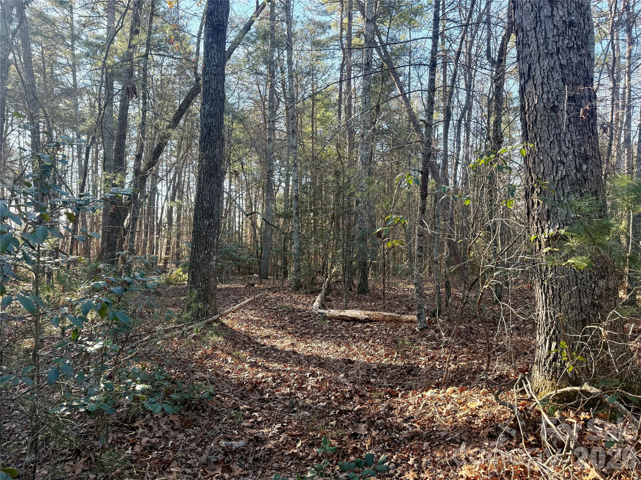 The Coves Mountain River Club - Land